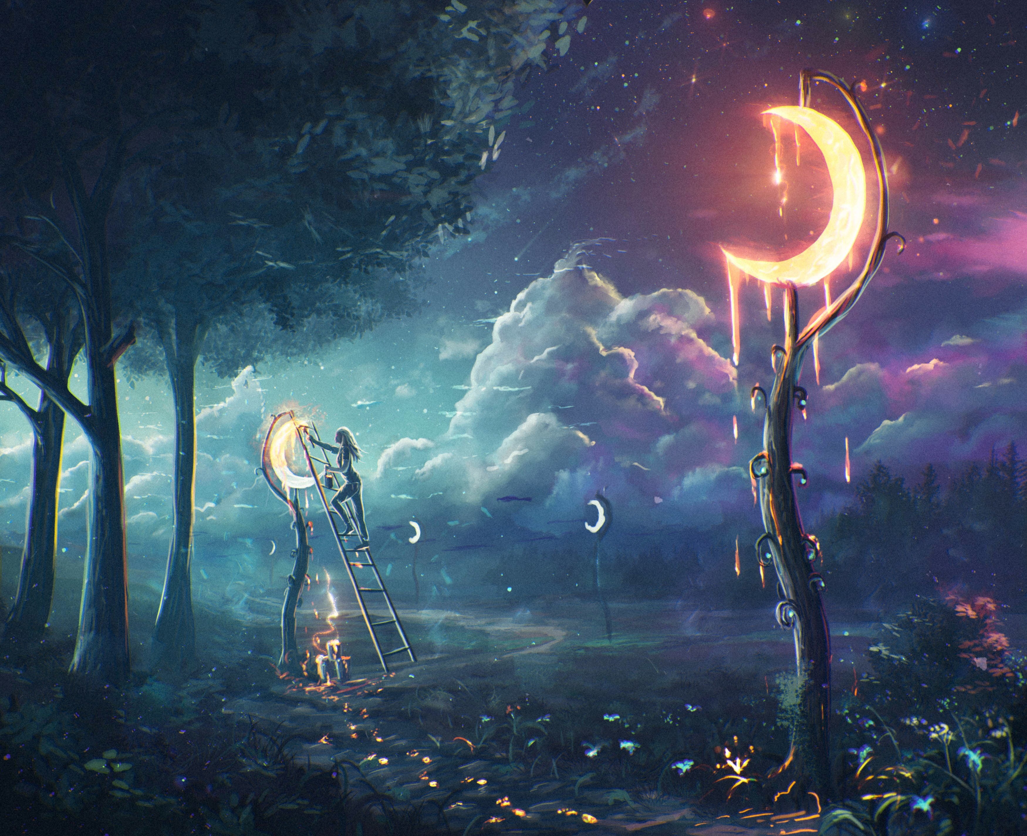 fantasy, illuminated, yellow, animal wildlife, crescent, Sylar, sea, nature, space, moonlight, sky, outdoors, animal themes, creativity, night, star - space, HD Wallpaper