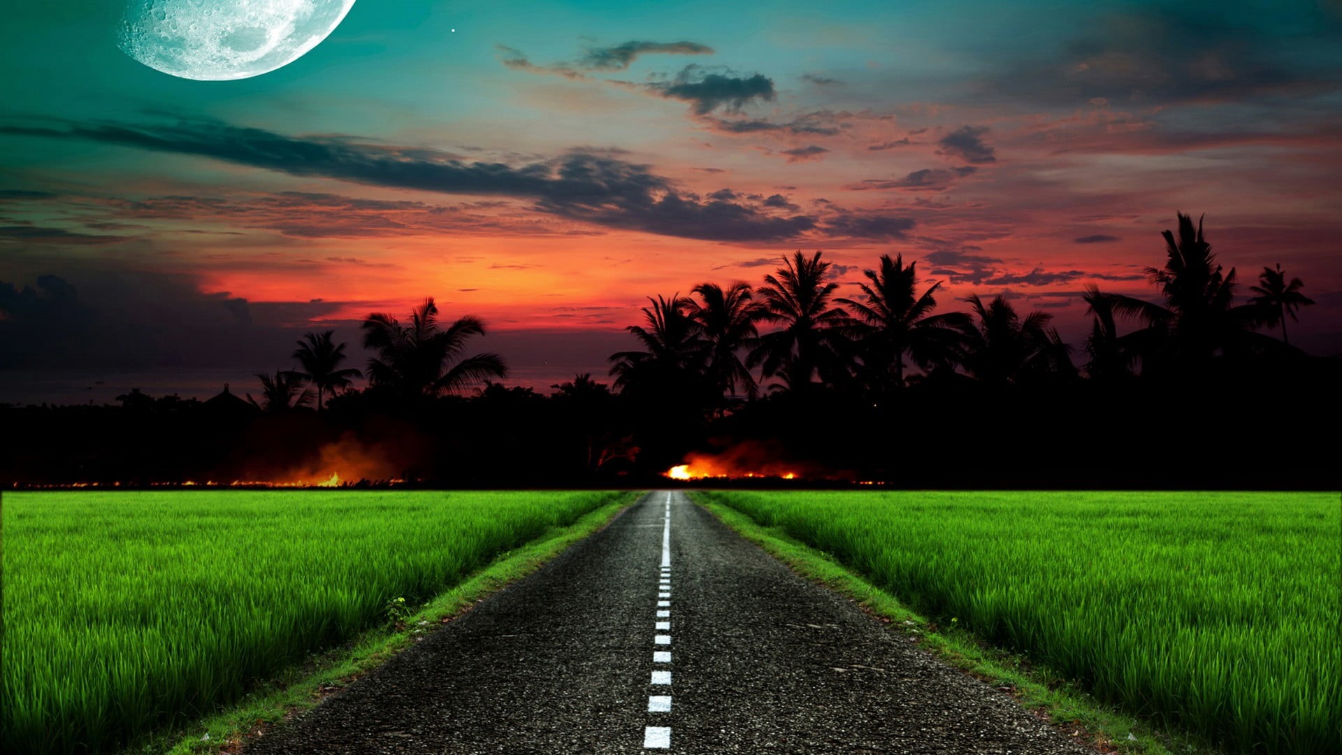 supermoon, sky, outdoors, moon, sunset, landscape, palms, plant, tranquil scene, environment, scenics - nature, orange color, afterglow, beauty in nature, HD Wallpaper