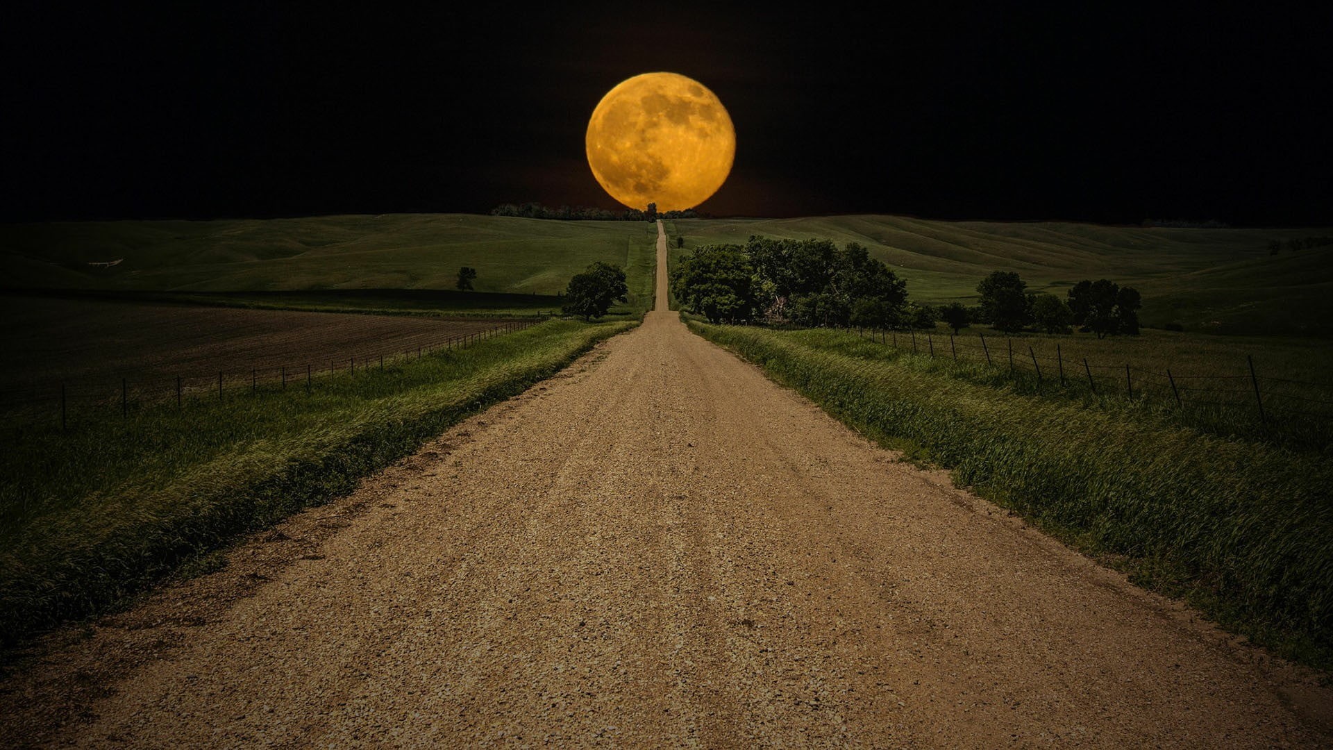 night, beauty in nature, field, planetary moon, 1080P, scenics - nature, land, sky, supermoon, astronomical object, landscape, plant, horizon, space, outdoors, HD Wallpaper