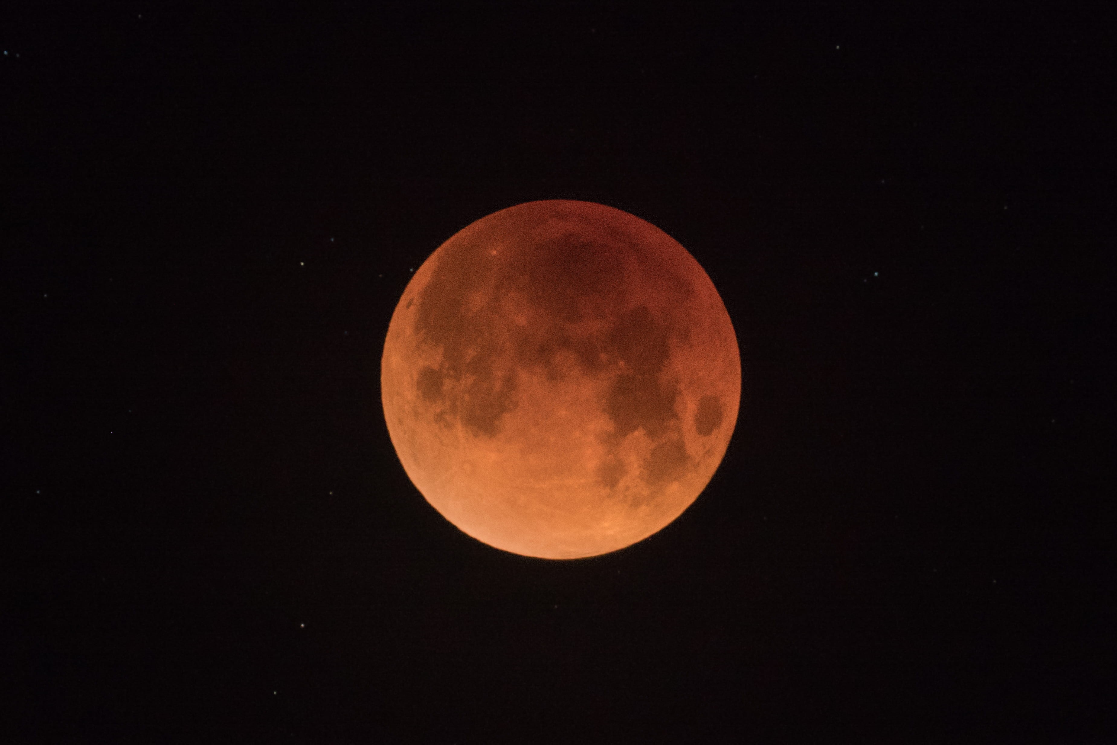 full moon, night, space and astronomy, blood, supermoon, planetary moon, 2K, scenics - nature, brown, tranquil scene, space, beauty in nature, moon surface, HD Wallpaper