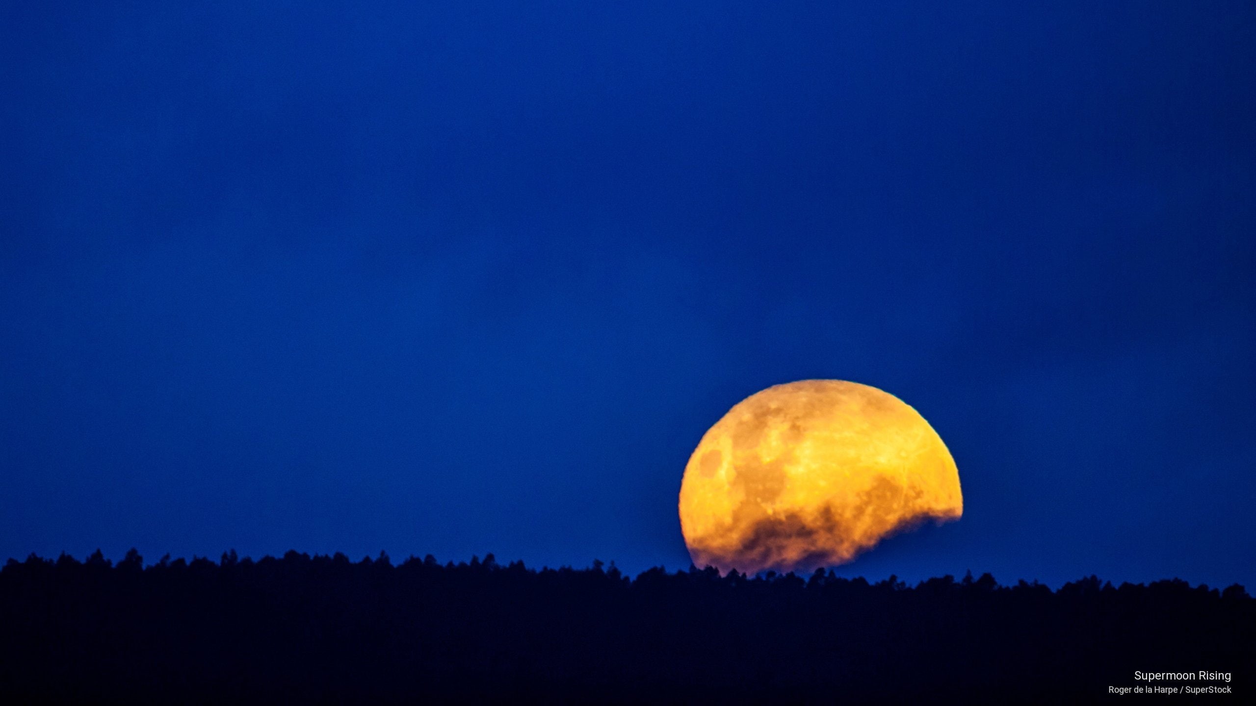 2K, supermoon, Nature, rising, HD Wallpaper