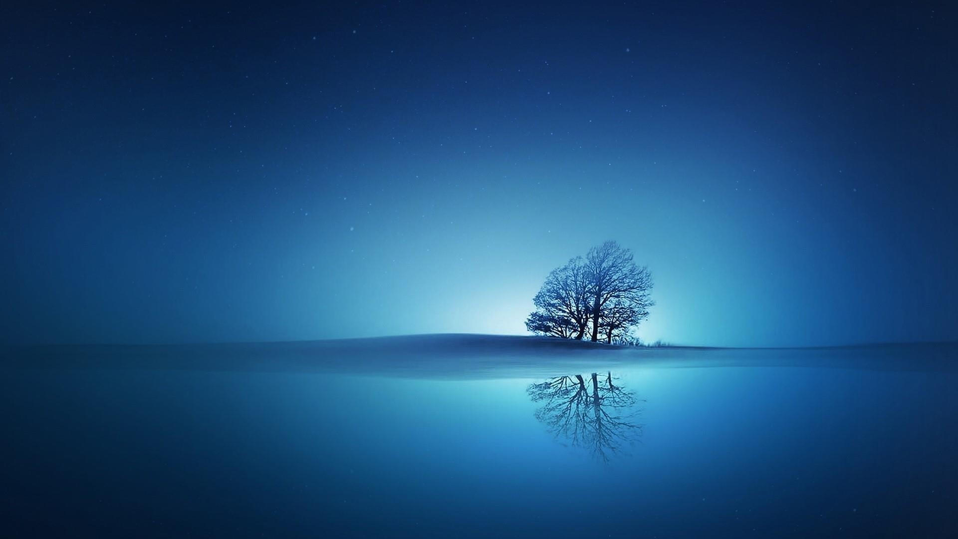 lone tree, reflection, lonely tree, 1080P, night sky, horizon, reflected, nature, bluish, night, HD Wallpaper