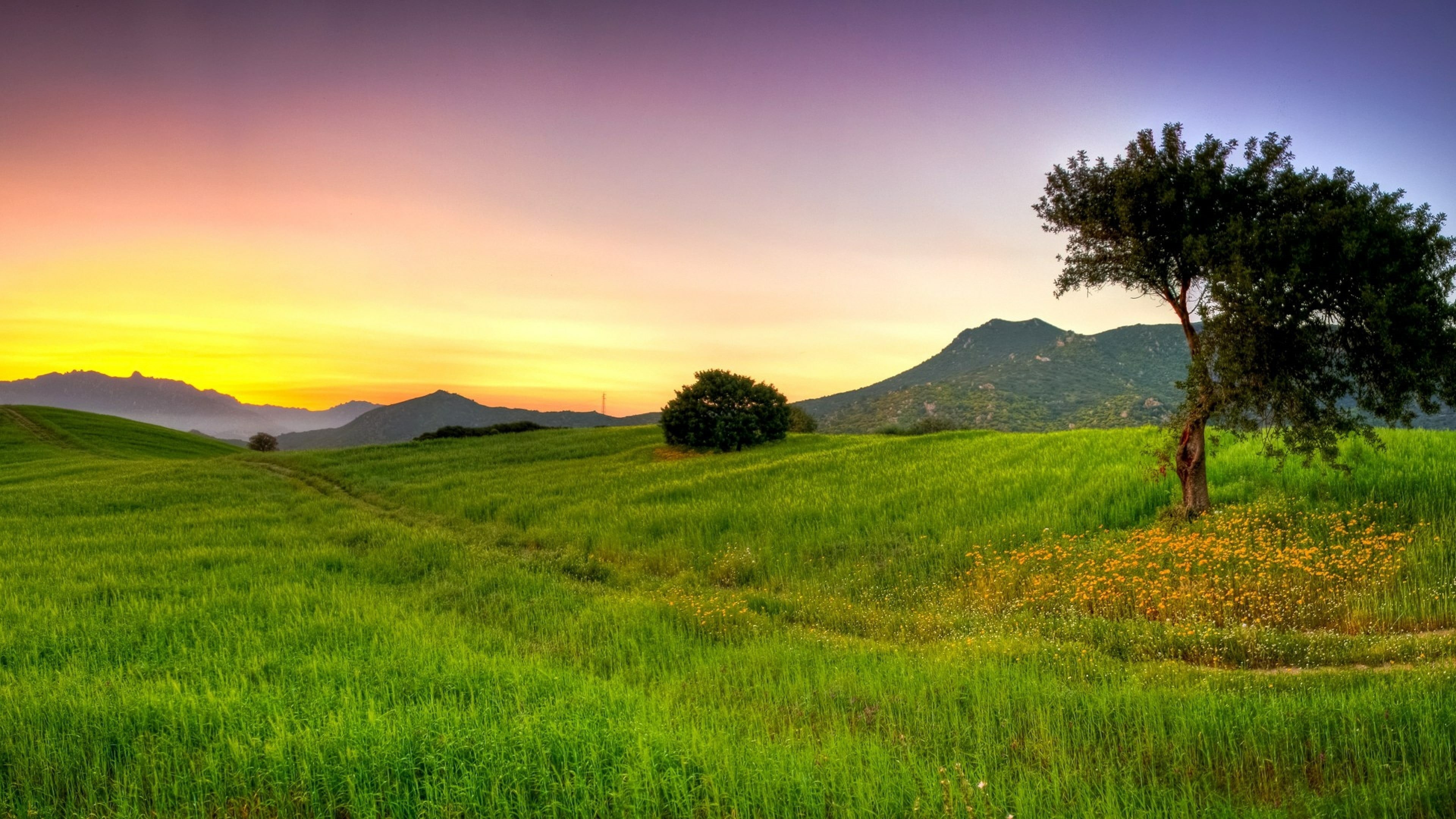 plain, green color, mountain, landscape, tranquil scene, outdoors, plant, rural area, tree, beauty in nature, pasture, tranquility, rural scene, nature, HD Wallpaper