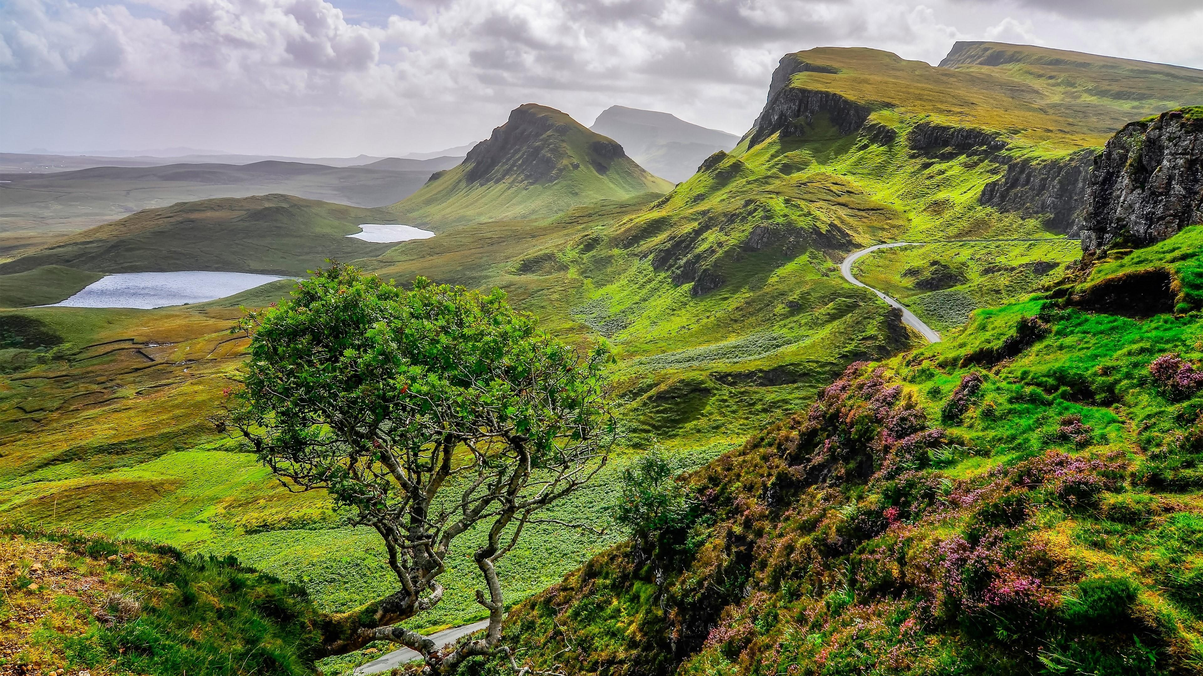 green hills, nature, 4K, lakes, europe, hills, lone tree, united kingdom, mount scenery, isle of skye, landscape, gb, hill, scotland, lonely tree, ponds, HD Wallpaper