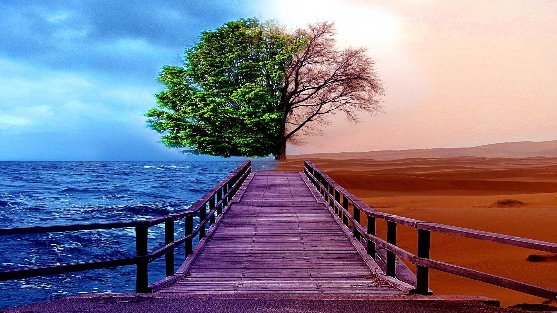 water, calm, cloud, shore, tree, 1080P, horizon, desert, lonely tree, nature, sea, sky, pier, HD Wallpaper