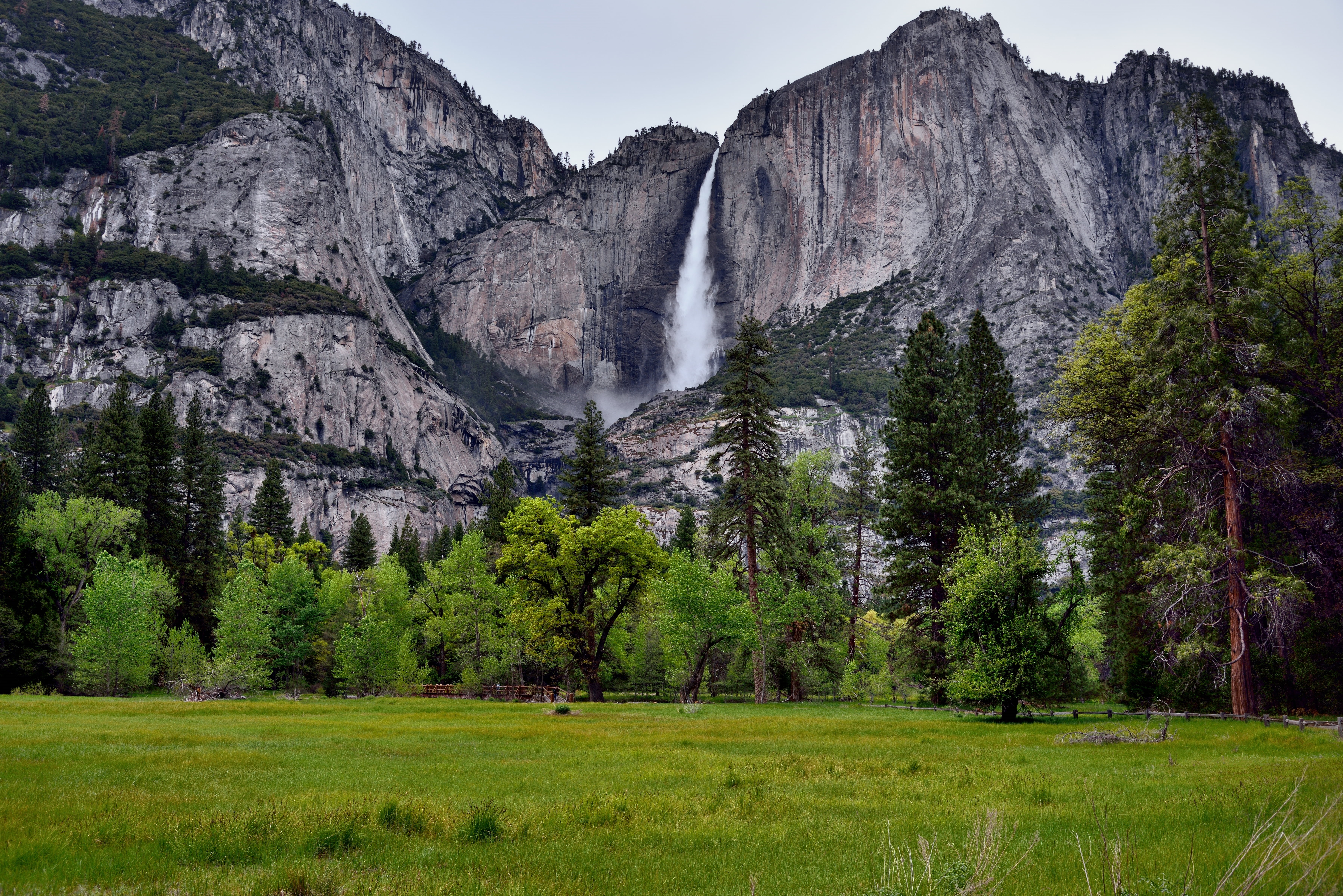 near, green, Yosemite Valley, landscape, Color, scenics, Falls, Portfolio, photo, water-fall, Hillside, forest, Sierra, park, national, Yosemite, Sierra Nevada, HD Wallpaper