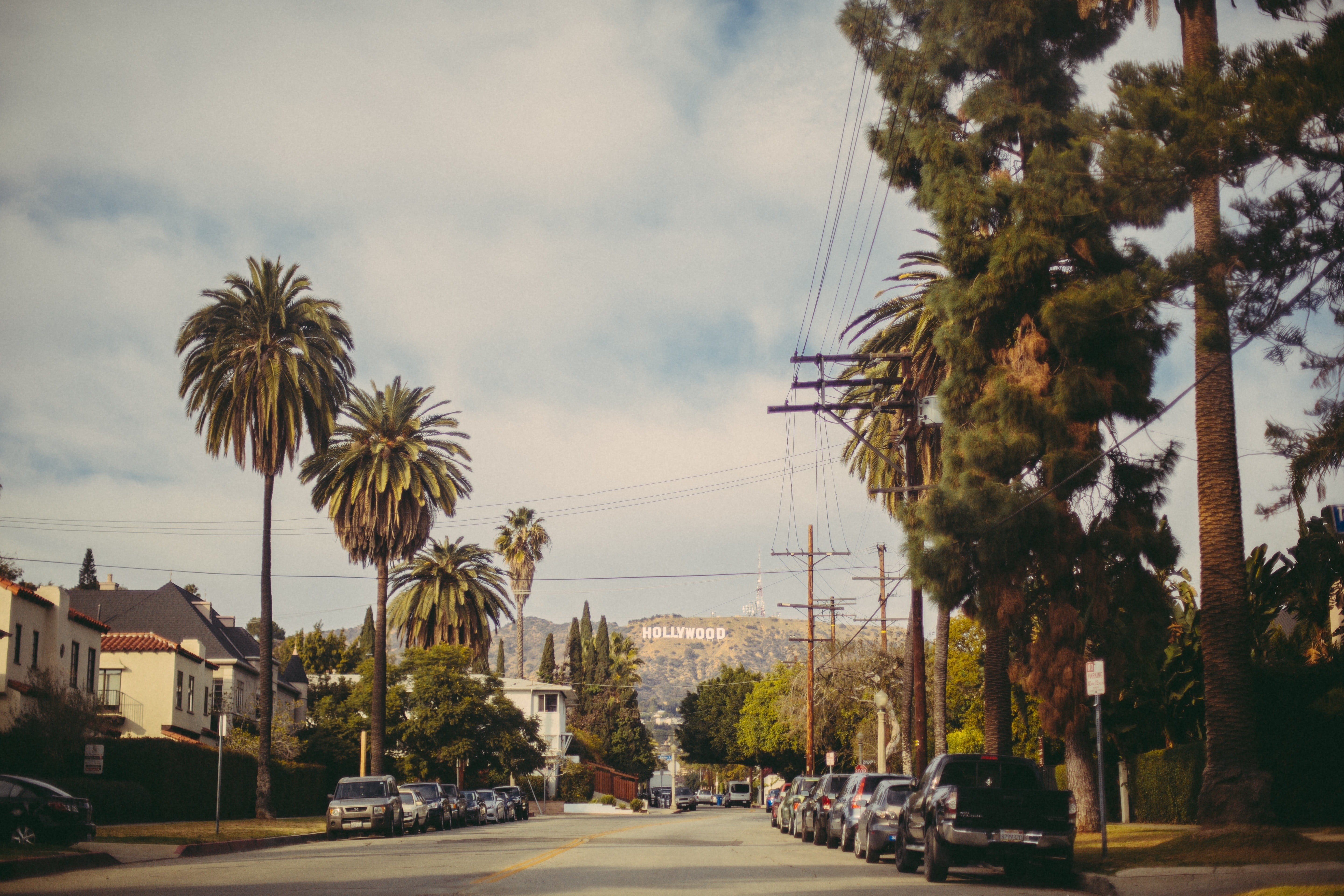 city, tropical climate, road, tree, place, outdoors, plant, angeles, built structure, land vehicle, day, travel, hillside, no people, america, california, HD Wallpaper