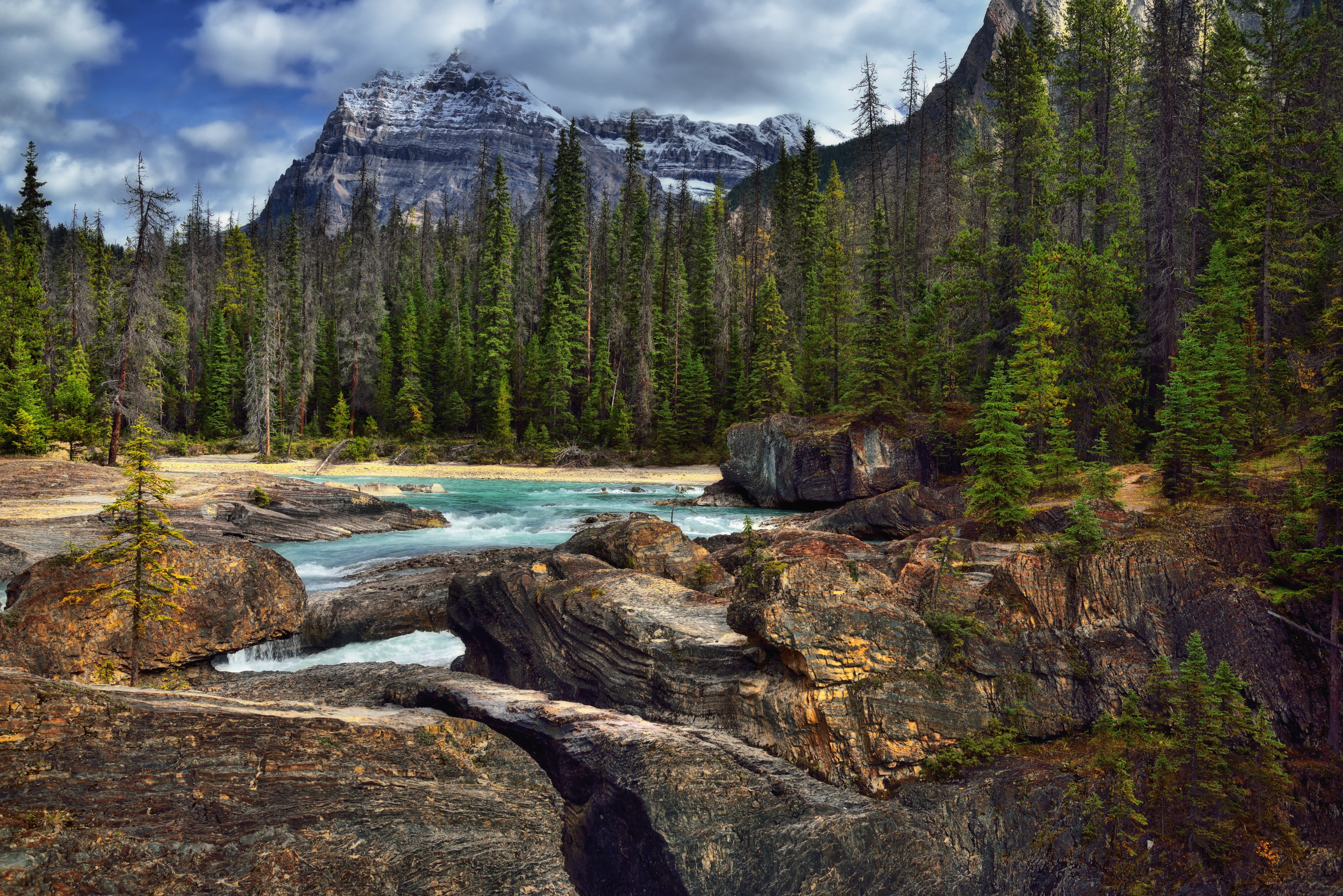 Landscape, Clouds, scenics, Natural Bridge, Alberta, Evergreens, Area, Portfolio, Looking East, Rocky Mountains, Day, Walking, Edited, Hillside, water, HD Wallpaper
