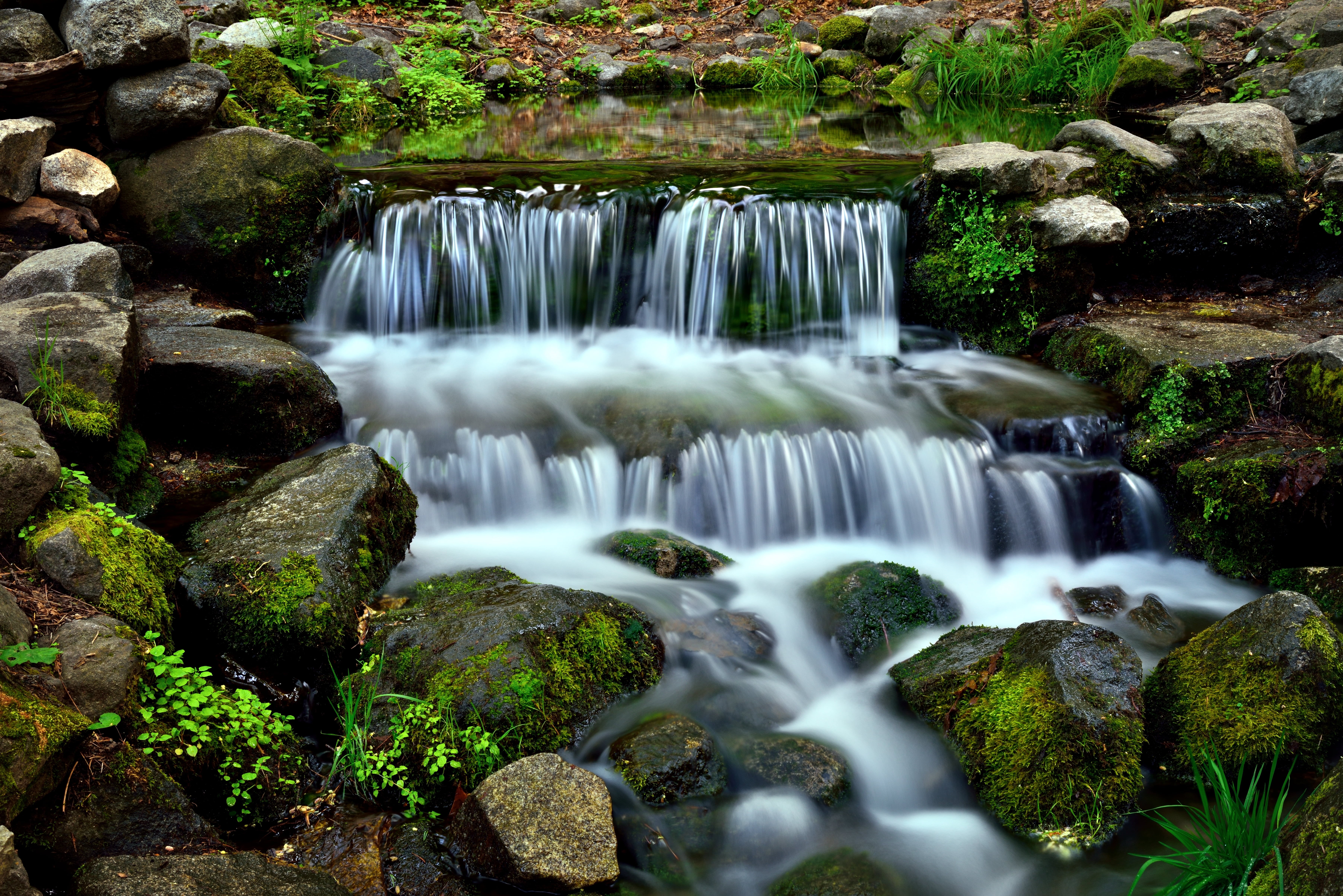 Trip, Outside, photo, Springs, Lichen, Capture, Nikon D800E, Hillside, freshness, Flowing, tropical Rainforest, NX2, falls, yosemite, Moss, Color, Fern, HD Wallpaper