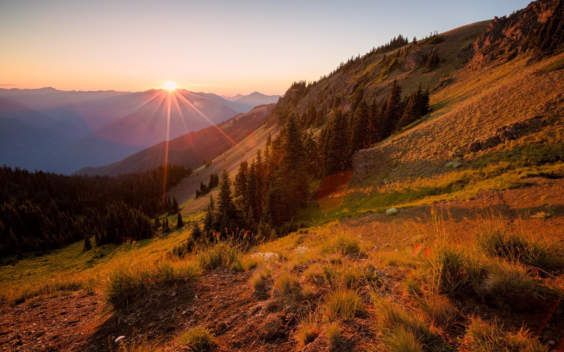 Trees, 1080P, Sunset, Mountains, Hillside, HD Wallpaper
