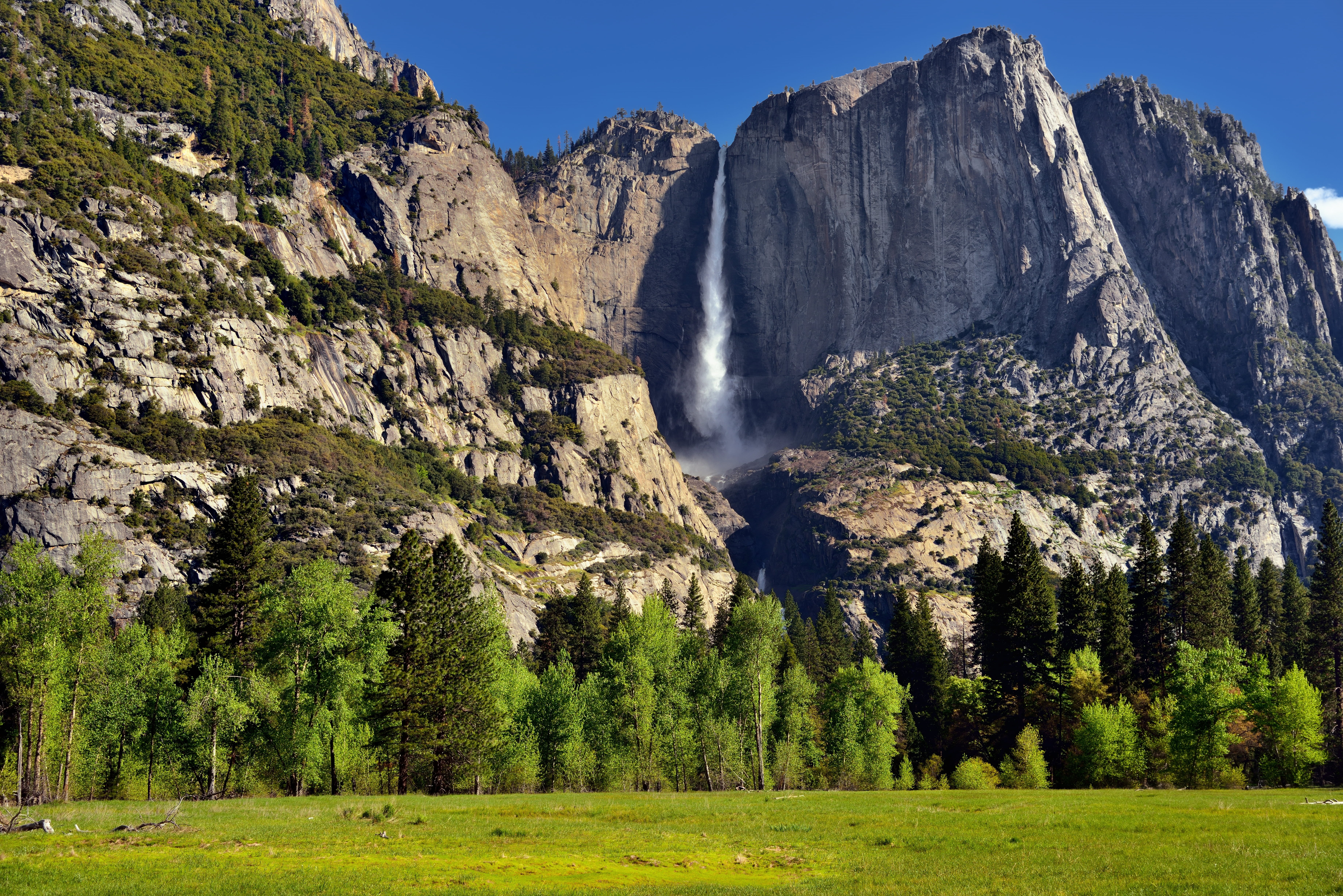 Trip, NE, Nikon D800E, Sunlight, Distance, Nature, Upper, Yosemite Fall, Trees, 5K, Sierra, Yosemite, Yosemite Falls, NX2, Color, Pacific Ranges, Day 4, HD Wallpaper