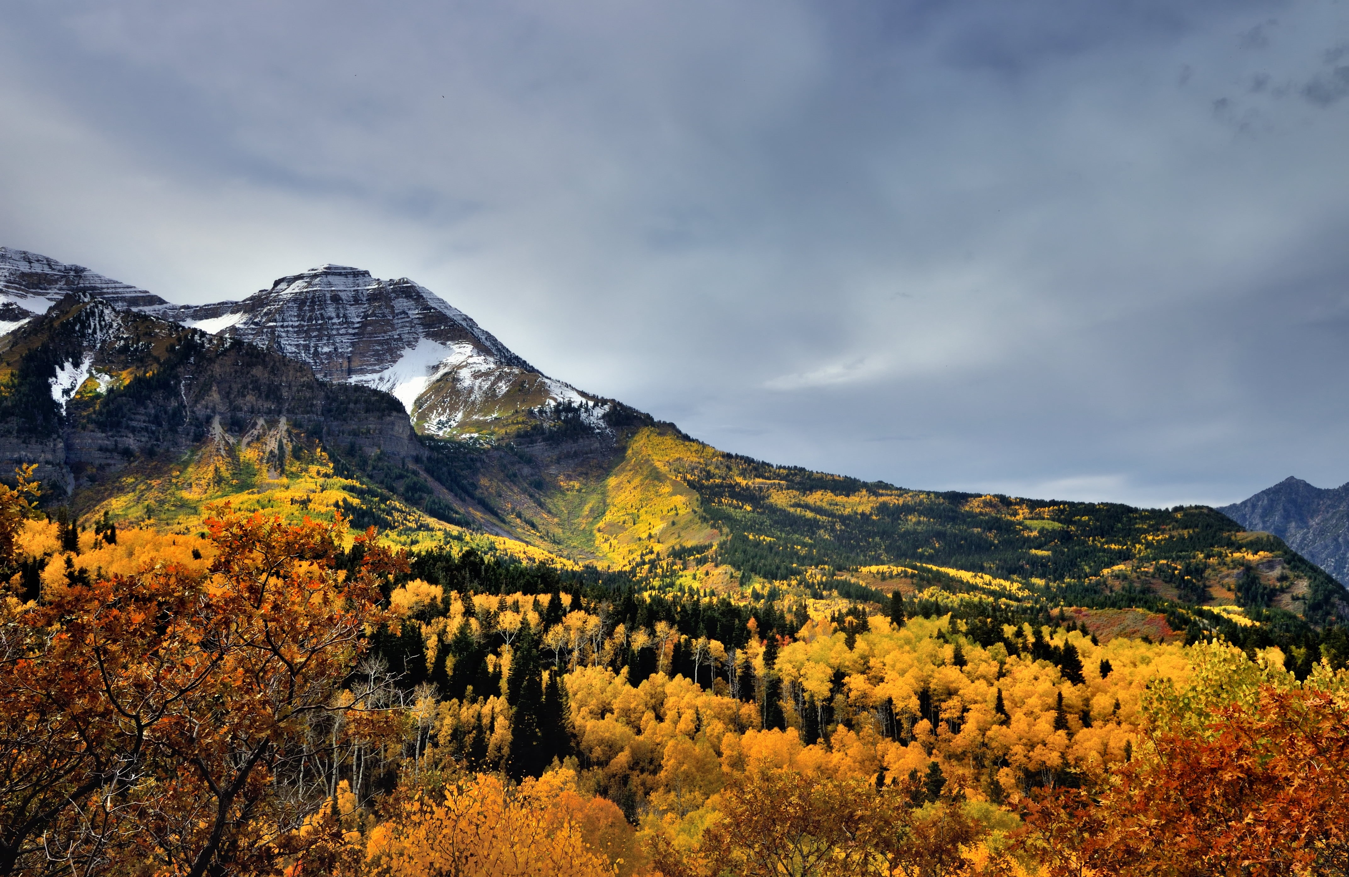 Central, NX2, Canvas, Aspen, snowy, forest, tree, Portfolio, sky landscape, Pro  Day, Mountain, beauty In Nature, Edited, Drive, Hillside, Leaves, autumn, HD Wallpaper