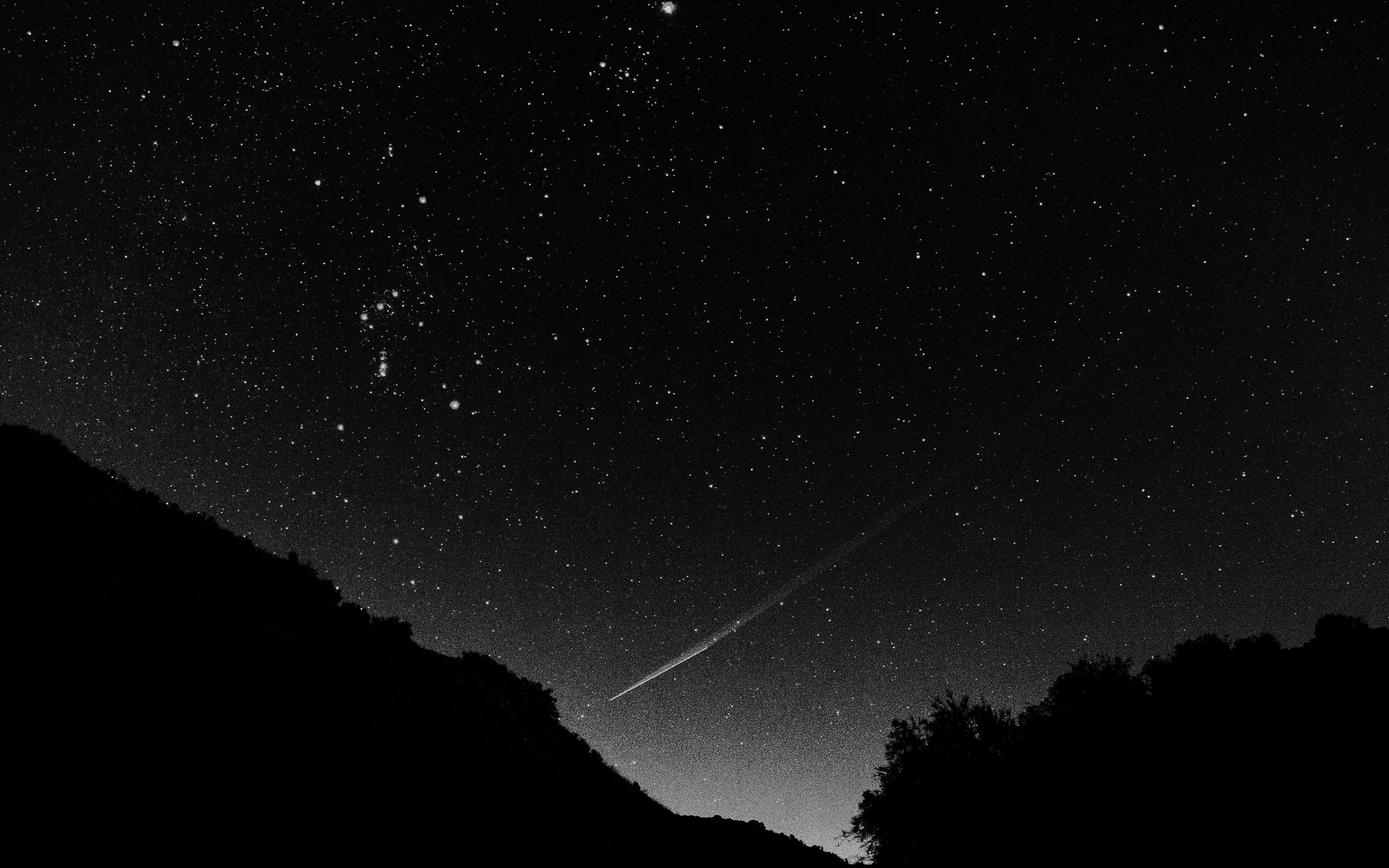 falling, silhouette, low angle view, outdoors, space, scenics - nature, idyllic, black, beauty in nature, beautiful, plant, star, tranquility, galaxy, tranquil scene, HD Wallpaper