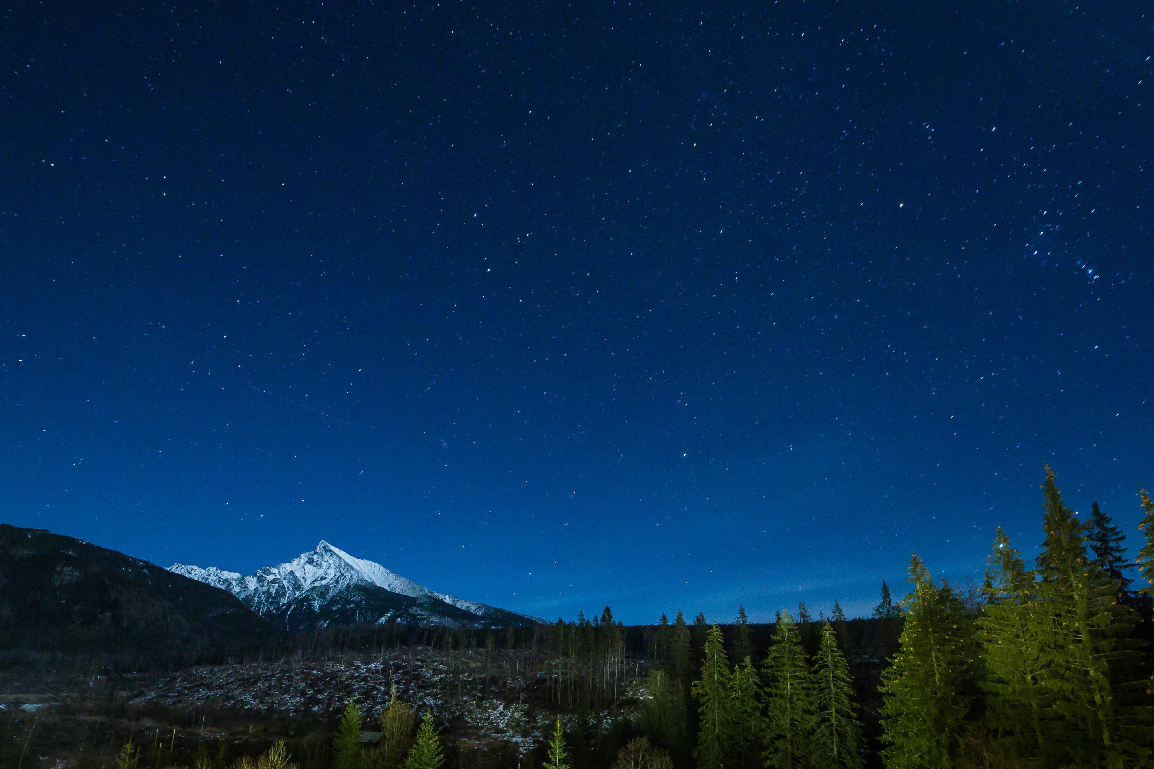 winter, stars, night, space, scenics, blue, alberta, landscape, trees, tranquility, snowcapped mountain, mountain Range, full, tree, tranquil scene, star, HD Wallpaper