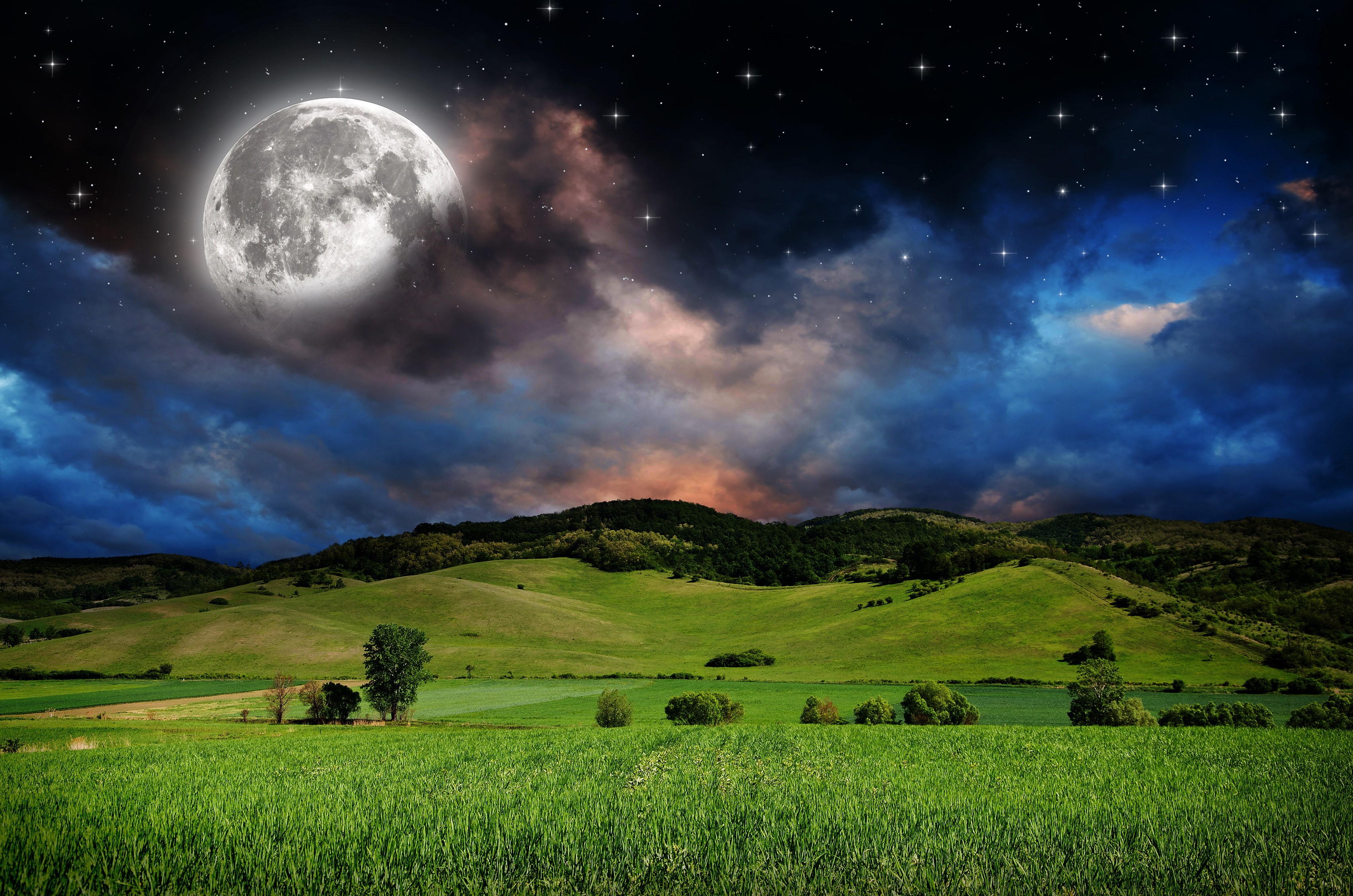 nature, trees, starry night, forest, space, Moon, grass, digital art, photo manipulation, hills, 2K, landscape, field, stars, clouds, HD Wallpaper