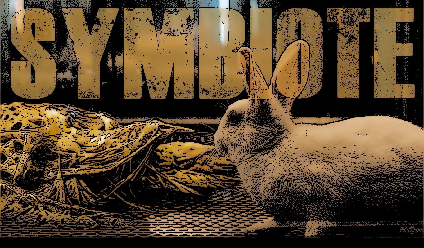 Symbiote, mammal, indoors, pattern, 720P, yellow, no people, domestic animals, graffiti, day, Venom, western script, domestic, one animal, art and craft, HD Wallpaper