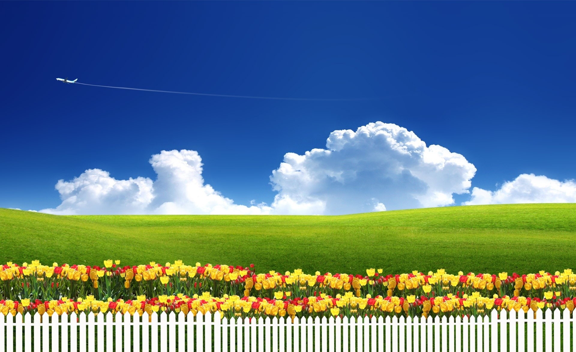 1080P, airplane, cloud - sky, multi colored, sunflower, springtime, outdoors, Dreamscape, blue, field, freshness, green, nature, landscape, Seasons, sky, HD Wallpaper