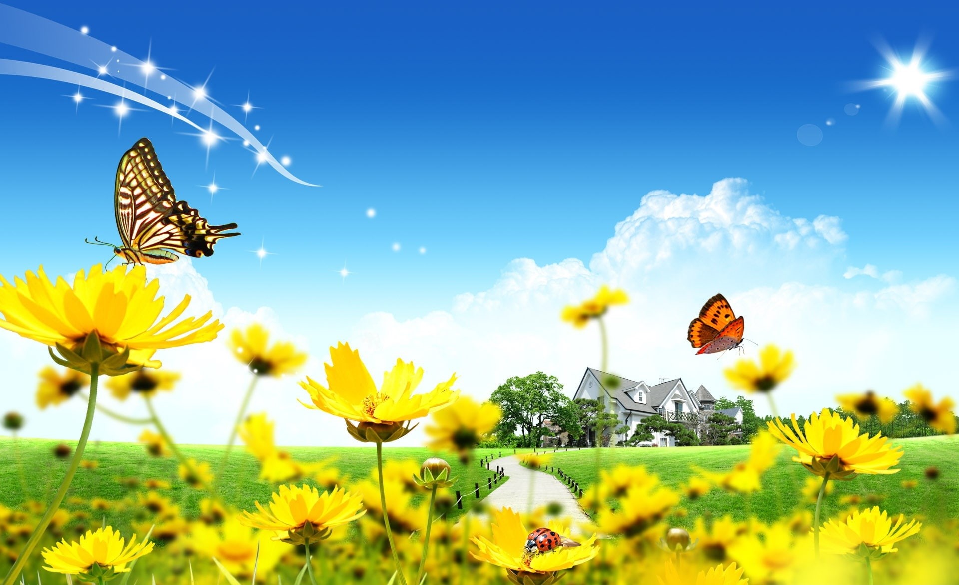 animal themes, nature, freshness, animal, Seasons, growth, animal wing, 1080P, one animal, plant, vulnerability, outdoors, inflorescence, flowers, pollination, HD Wallpaper