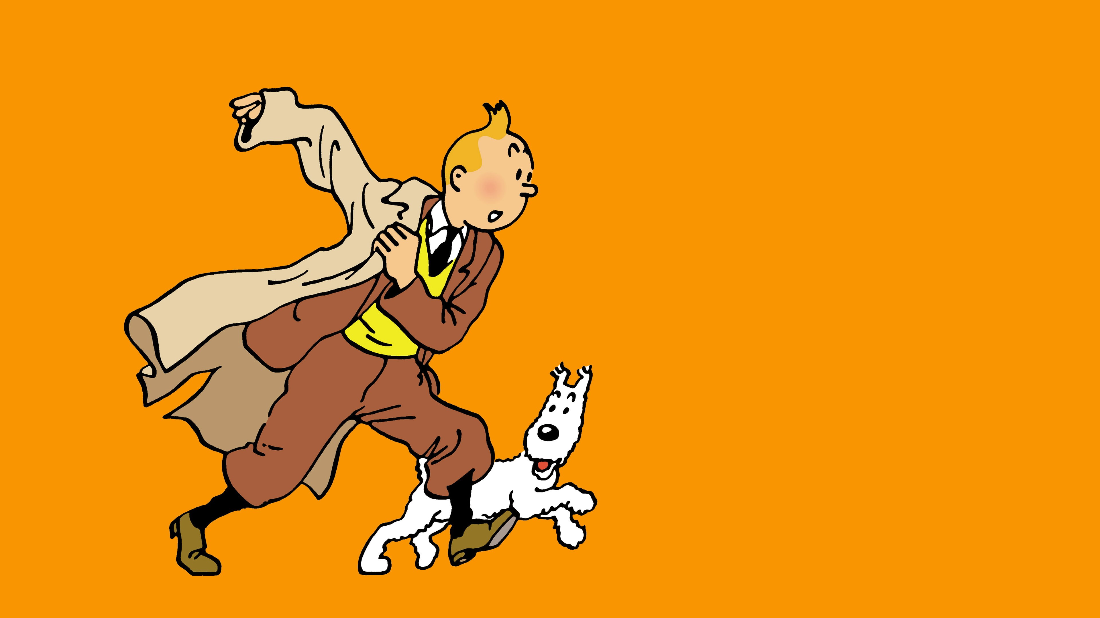 Tintin, tiger, body part, comics, copy space, 4K, women, colored background, drawing, domestic, mammal, domestic animals, adult, childhood, cute, fun, HD Wallpaper