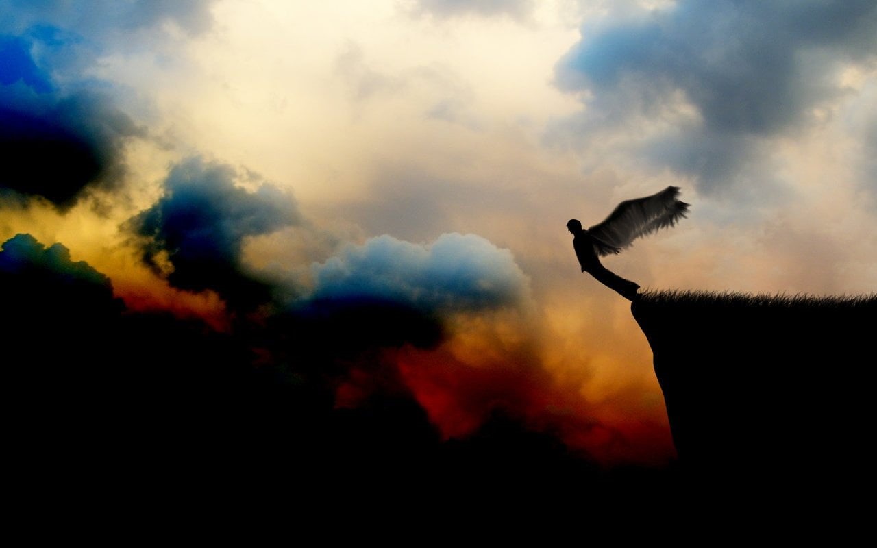 animal wildlife, sky, Fallen, 720P, animal themes, cloud - sky, outdoors, tree, no people, scenics - nature, vertebrate, one animal, nature, silhouette, HD Wallpaper