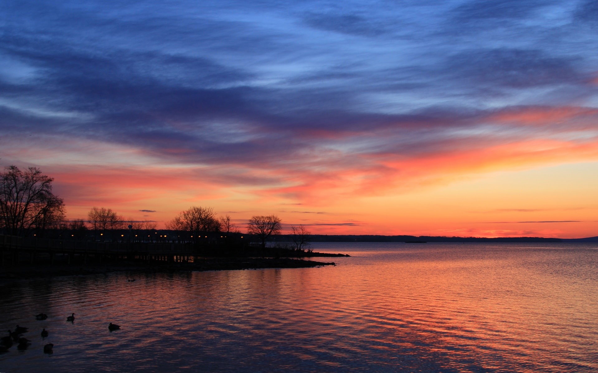 Scenery, Beautiful, Trees, Evening, 1080P, Lake, Landscape, HD Wallpaper