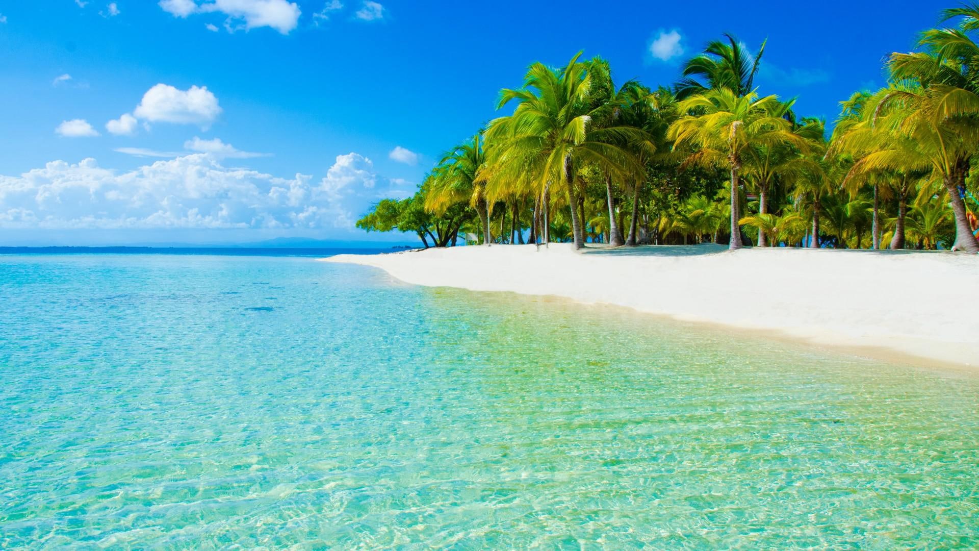 scenery, beach, clouds, sea, nature, palm, 1080P, sky, HD Wallpaper
