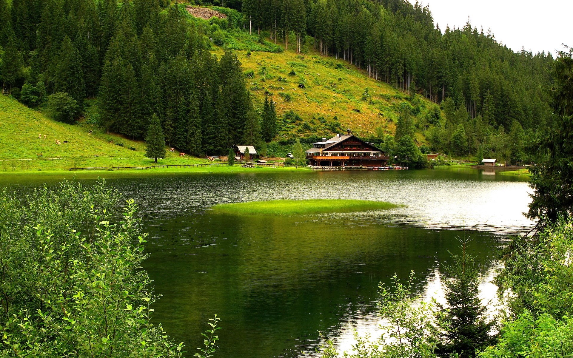 River, Trees, House, Mountains, 1080P, Nature, Green, Scenery, HD Wallpaper