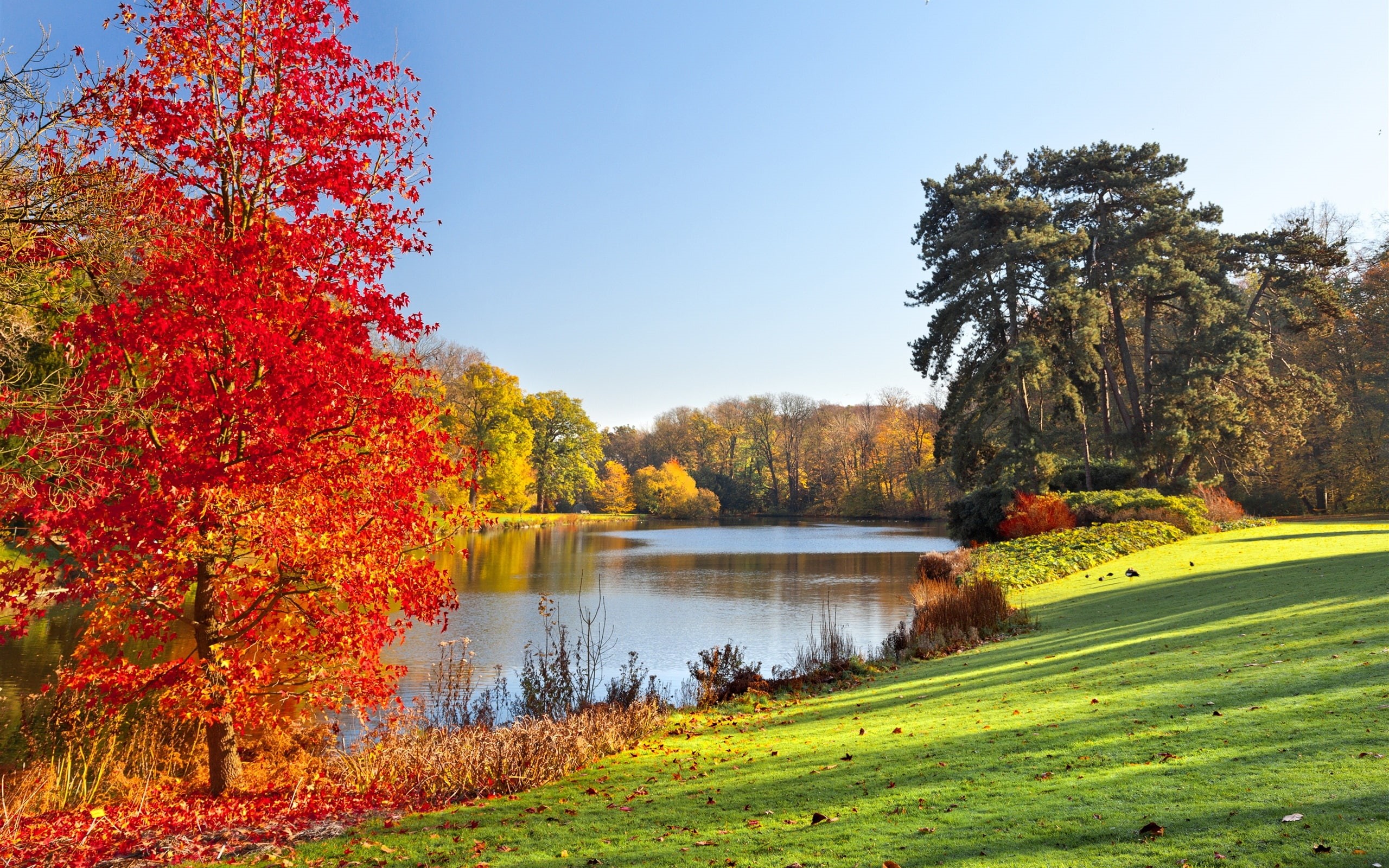 2K, Trees, Park, Scenery, Leaves, Nature, Lake, Autumn, HD Wallpaper
