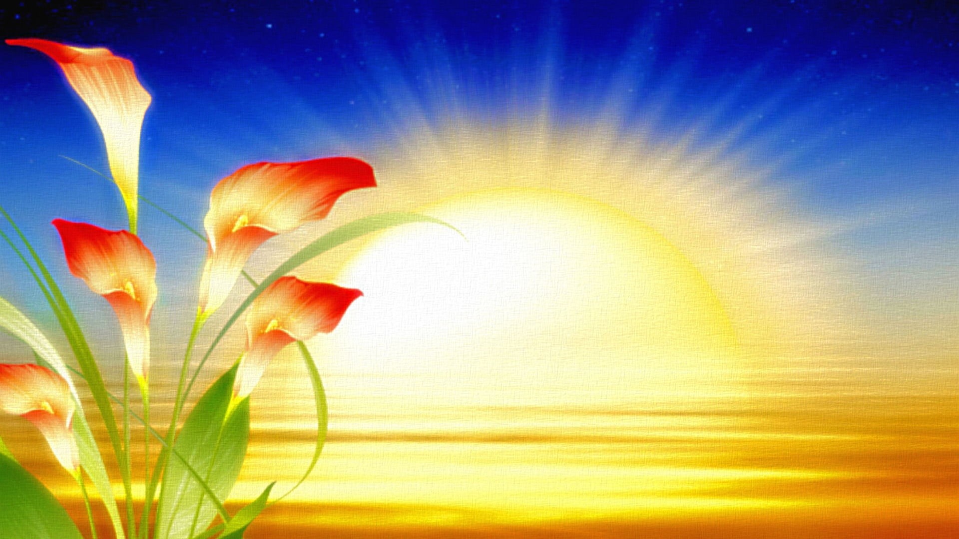 1080P, sun rays, flowers, HD Wallpaper