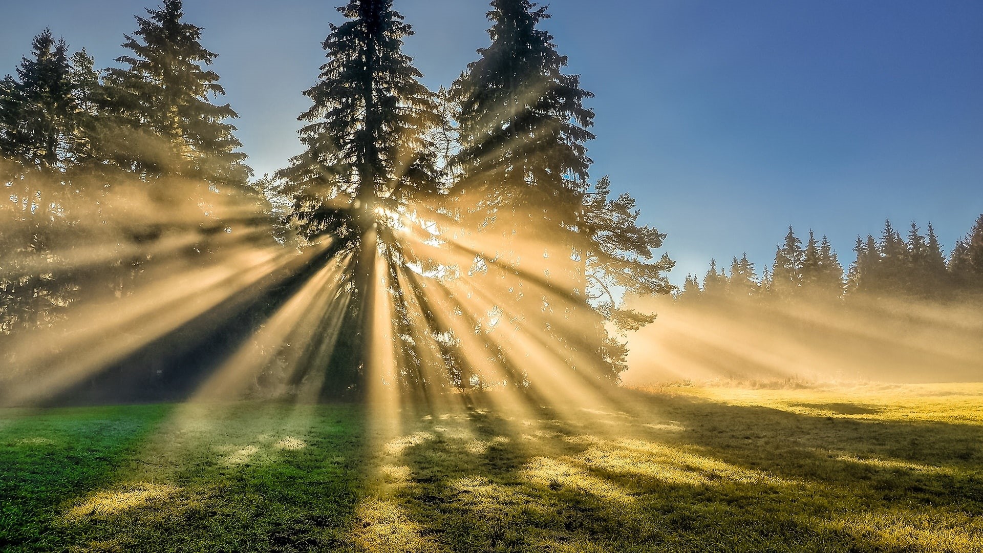 rays, sunshine, sunbeam, sunny, sunbeams, sun ray, 1080P, sunlight, blue sky, HD Wallpaper