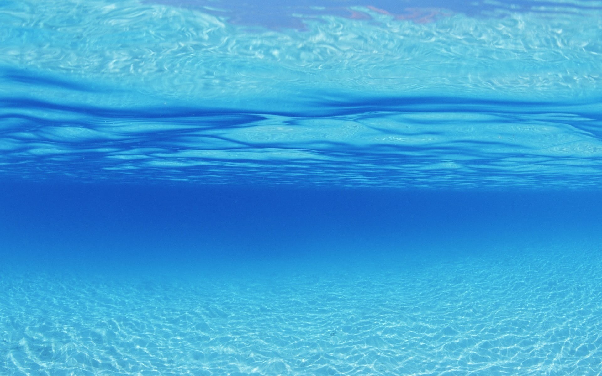 at the bottom of, animal, food and drink, blue, purity, transparent, turquoise colored, underwater, outdoors, no people, undersea, waters, water, sea life, HD Wallpaper