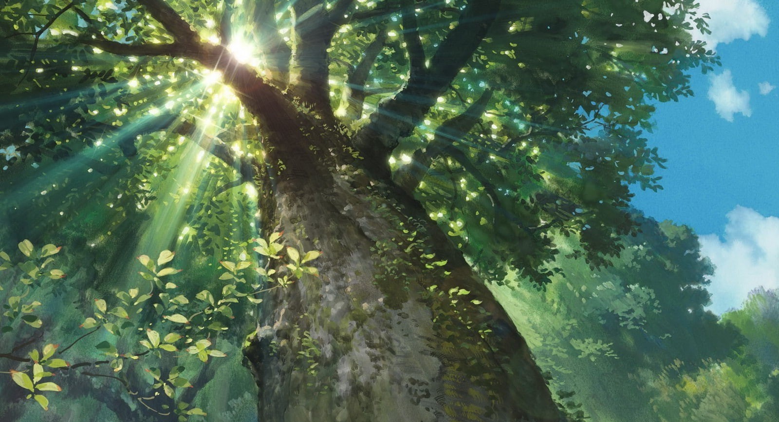 plant part, Karigurashi No Arrietty, leaf, forest, day, no people, sky, growth, outdoors, beauty in nature, directly below, Trees, Worms Eye View, plant, HD Wallpaper