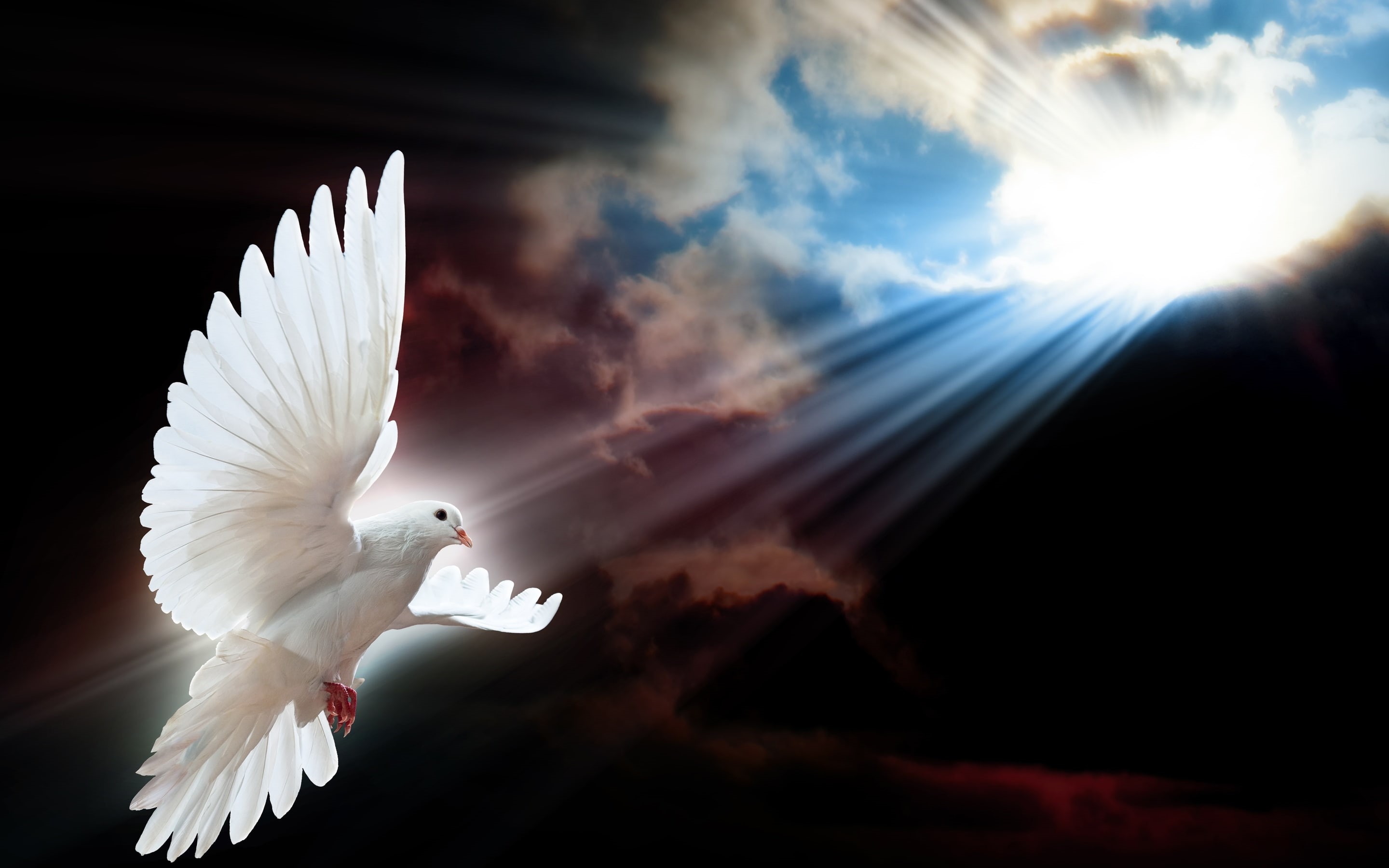 2K, clouds, wings, background, sky, dove, white, HD Wallpaper