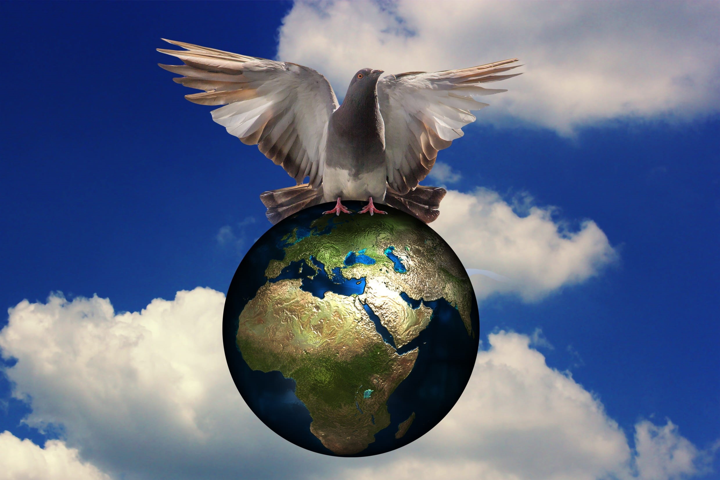 animal, war, mid-air, digital composite, planet earth, planet - space, sphere, nature, harmony, globe - man made object, asia, animals in the wild, bird, HD Wallpaper