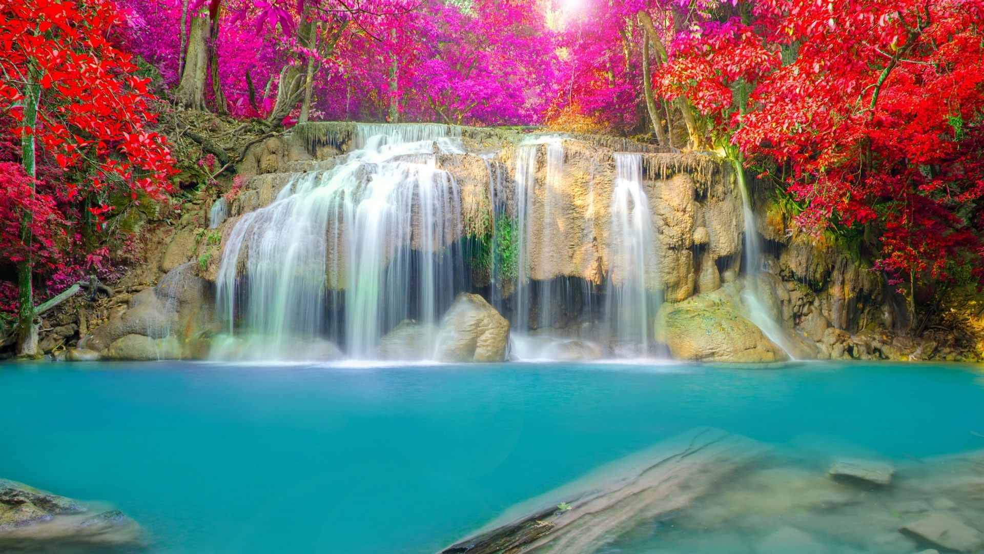 landscape, leaves, photography, waterfall, beautiful, 1080P, forest, HD Wallpaper