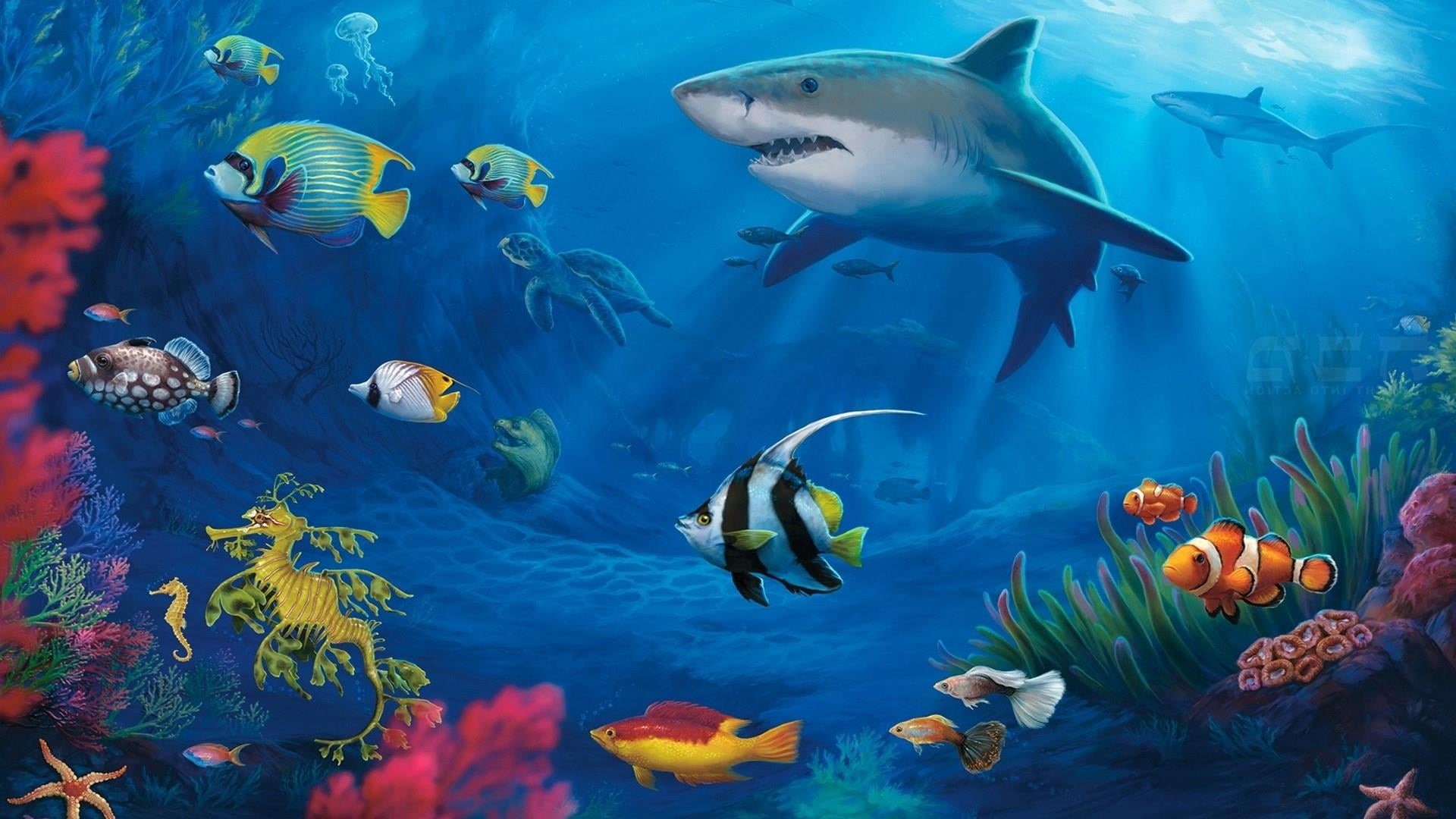 school of fish, underwater, fauna, 1080P, large group of animals, tank, animals in the wild, nature, fantasy art, sea life, fishes, coral reef fish, water, HD Wallpaper