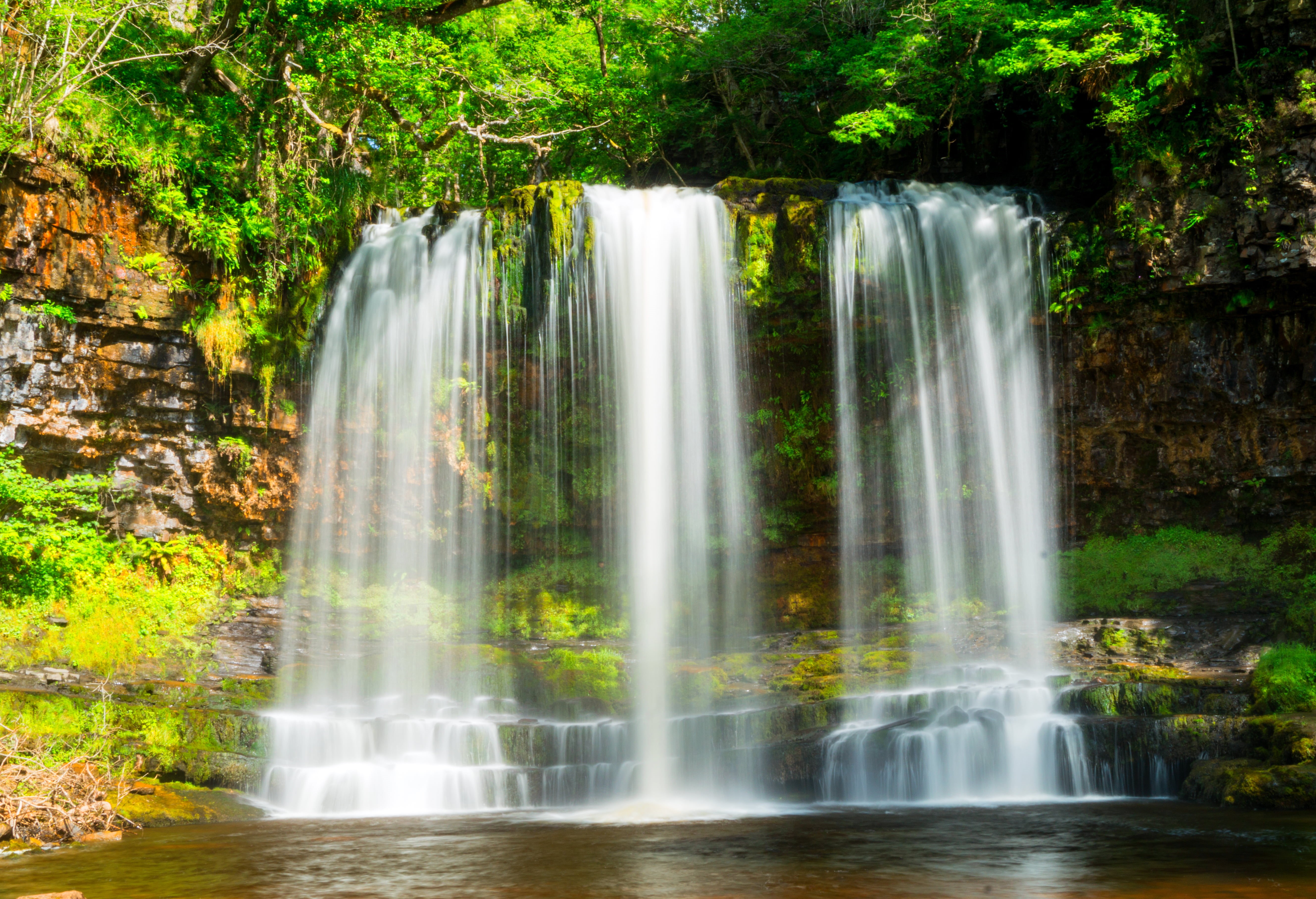 photography, freshness, water, beauty In Nature, 5K, green Color, tree, nature, lapse, flowing Water, outdoors, water  fall, long  exposure, rock - Object, HD Wallpaper