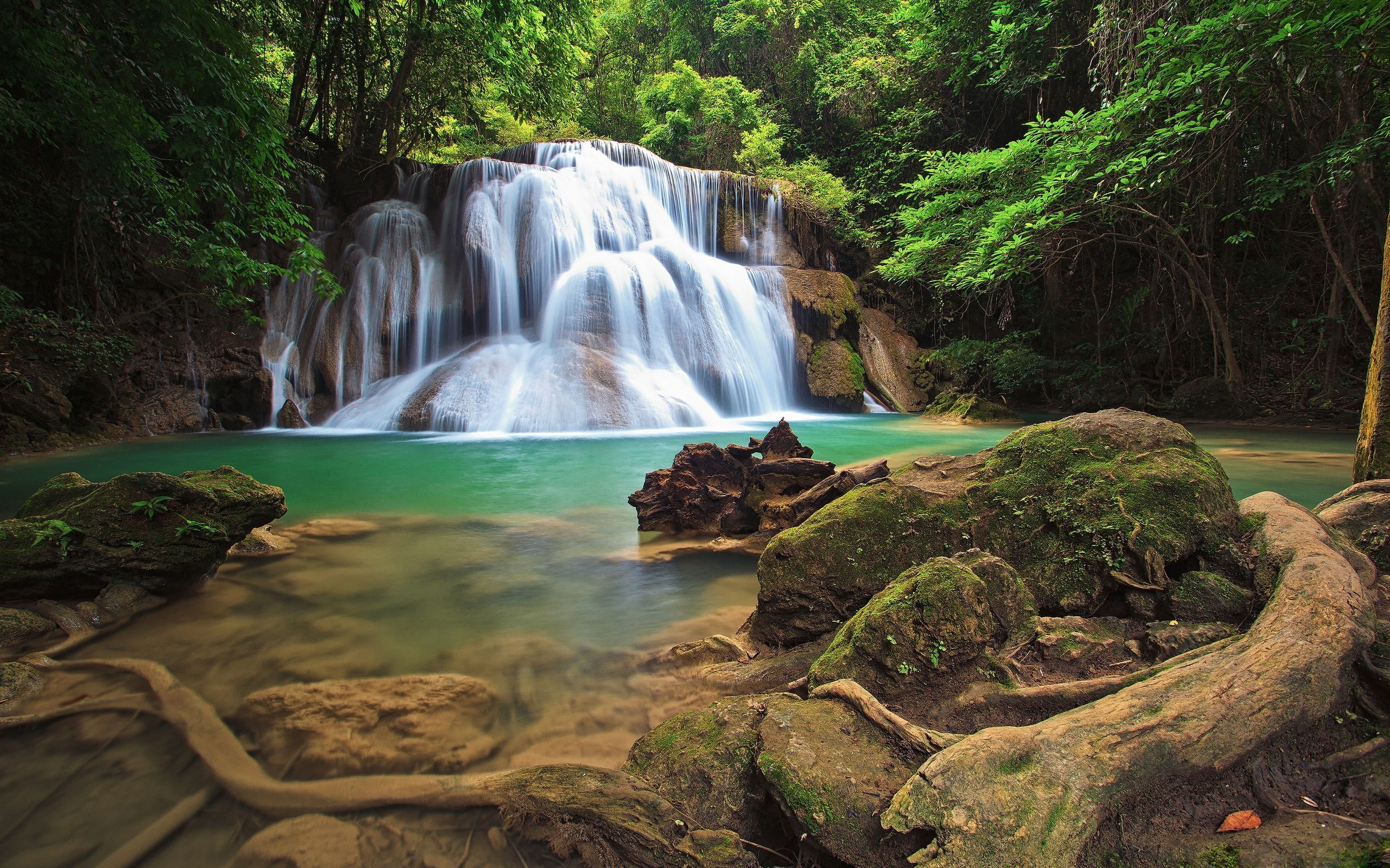 2K, rocks, pond, moss, trees, timelapse, jungle, waterfall, forest, nature, hd, stones, HD Wallpaper