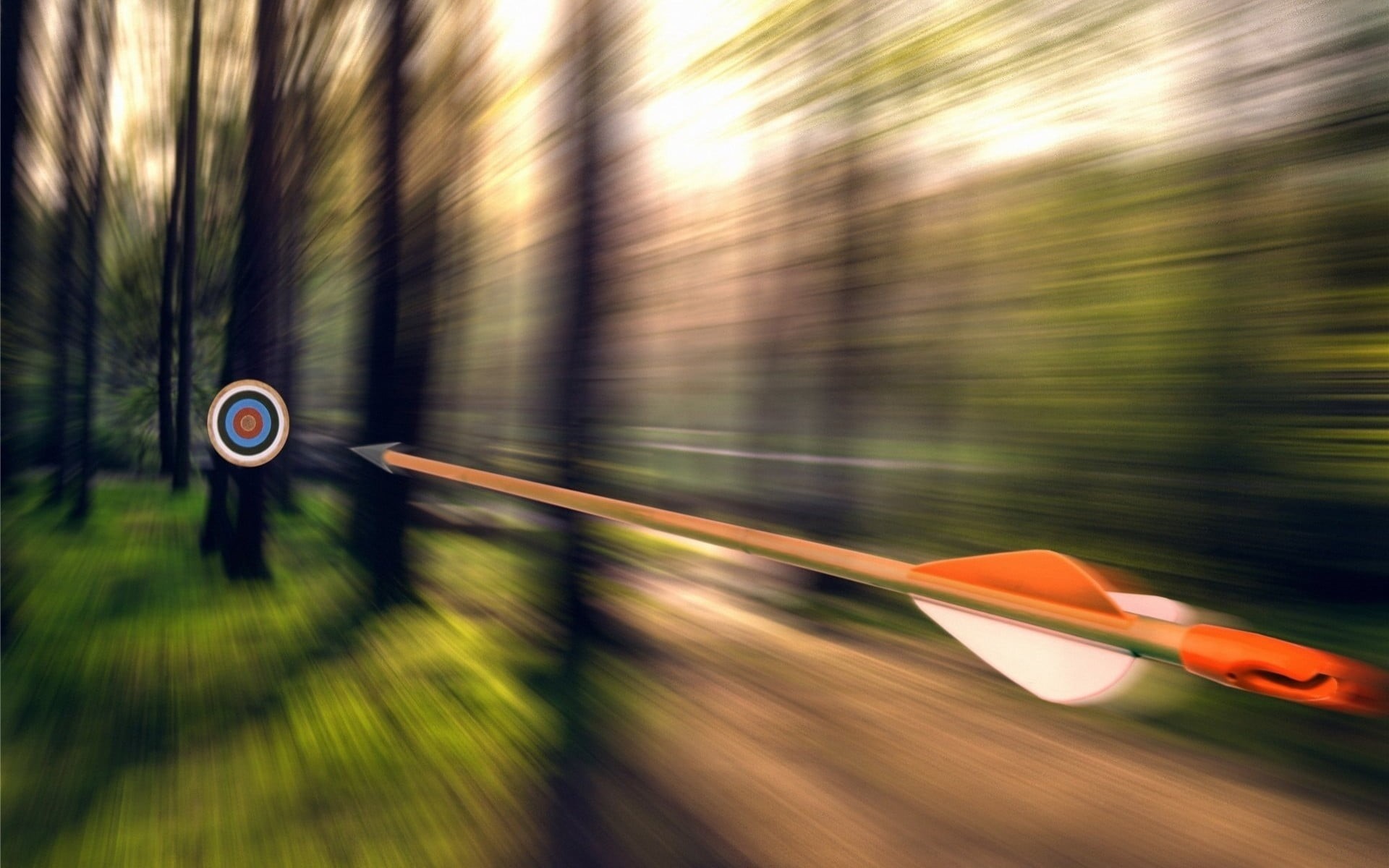 outdoors, blurred motion, motion blur, tree, road, land, on the move, trees, forest, arrow, speed, number, photo, nature, road sign, motion, archery, focus on foreground, HD Wallpaper
