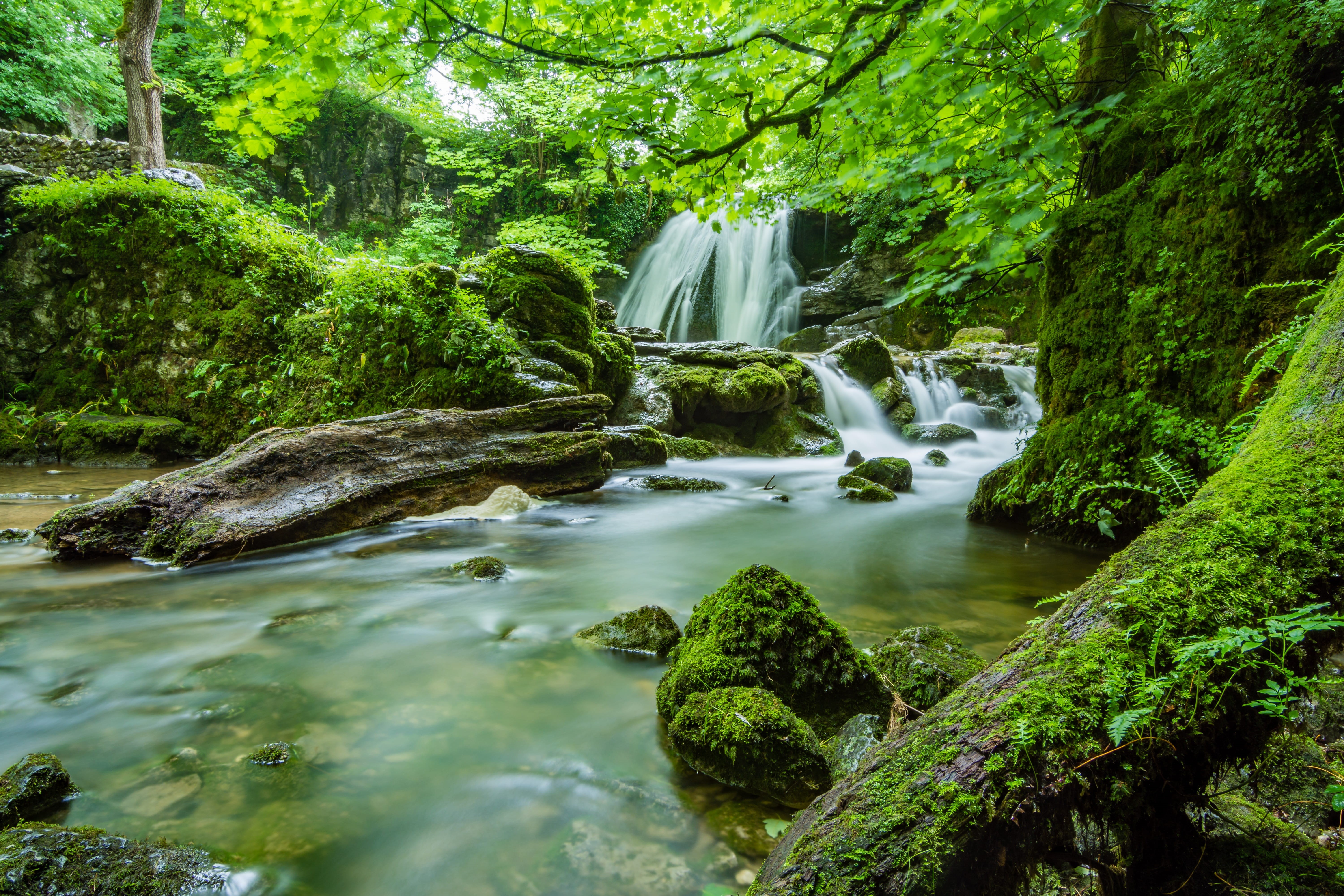 beauty In Nature, solid, growth, green, yorkshire, 5K, blurred Motion, postcard, timelapse, janets, outdoors, non-urban scene, stream - flowing water, HD Wallpaper