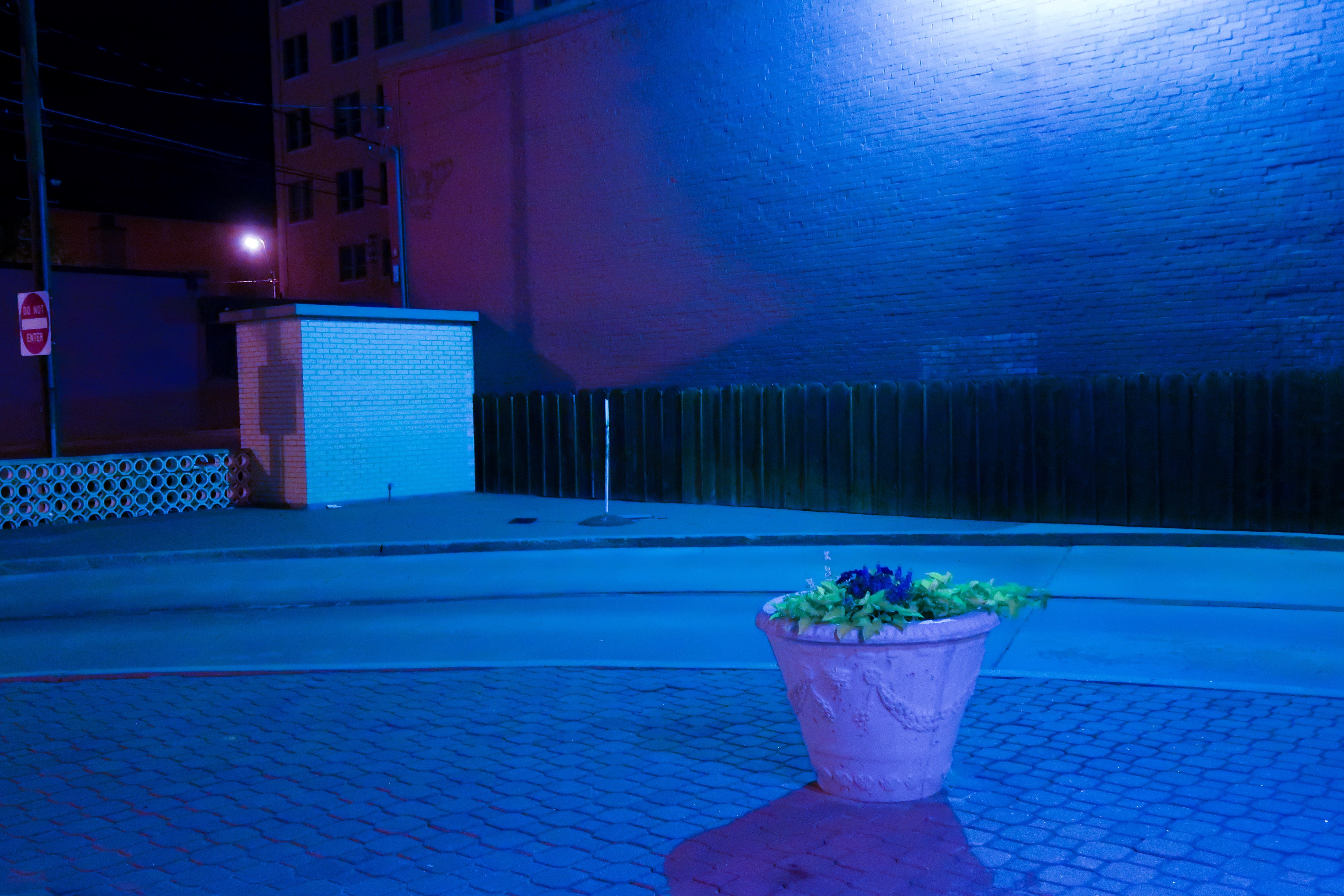 light, tumblr, neon, no people, chill, city, dream, flooring, water, potted plant, swimming pool, modern, architecture, plant, new, built structure, brick, HD Wallpaper