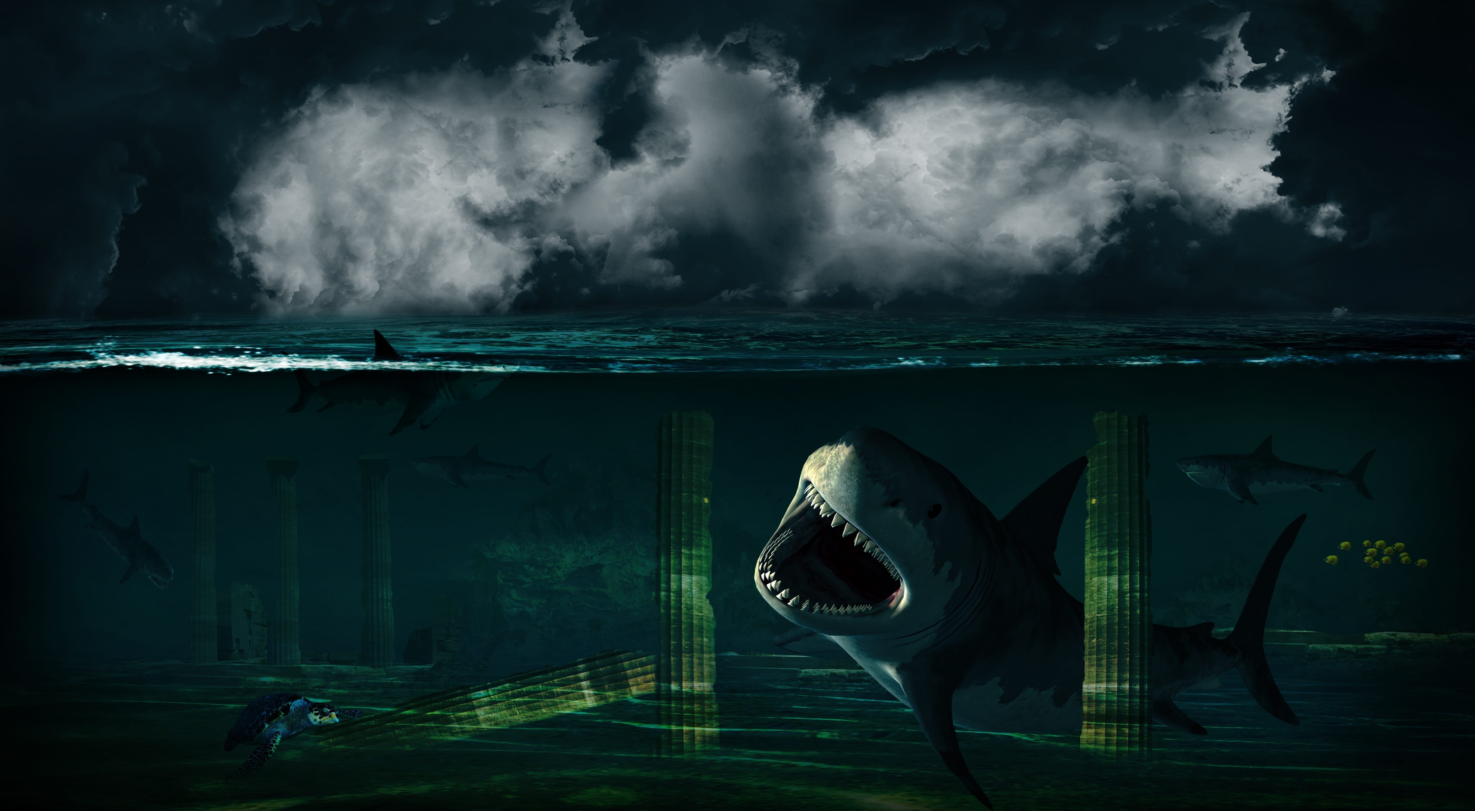sky, wave, turtle, bizarre, illustration, blue, sea, digital photo montage, antiquity, animal, animals in the wild, no people, background image, sharks, HD Wallpaper