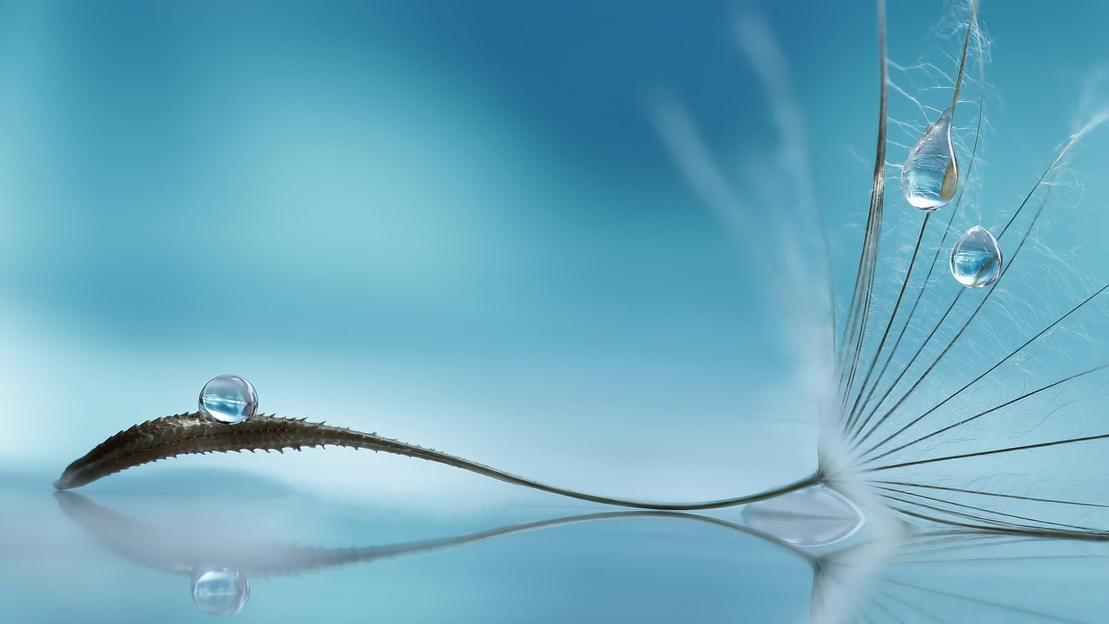 luxury, beauty in nature, water drops, fragility, transportation, outdoors, softness, blue, close-up, sky, sea, day, sailboat, selective focus, steel, sunlight, HD Wallpaper