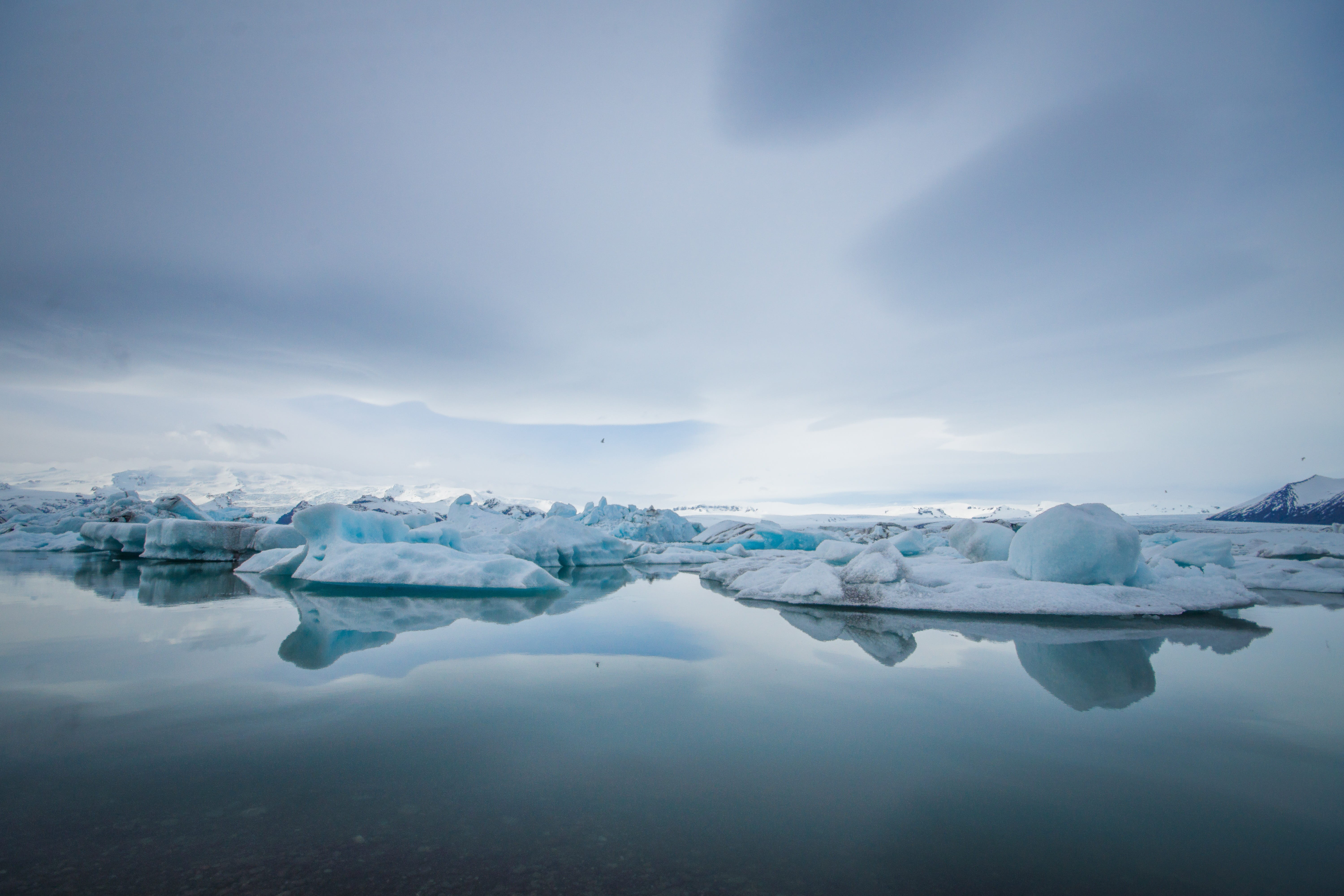 snow landscape, floating on water, iceberg, glacial ice, water, cold, icy, iceland, environment, blue, bluish, frozen, beauty in nature, cold temperature, HD Wallpaper