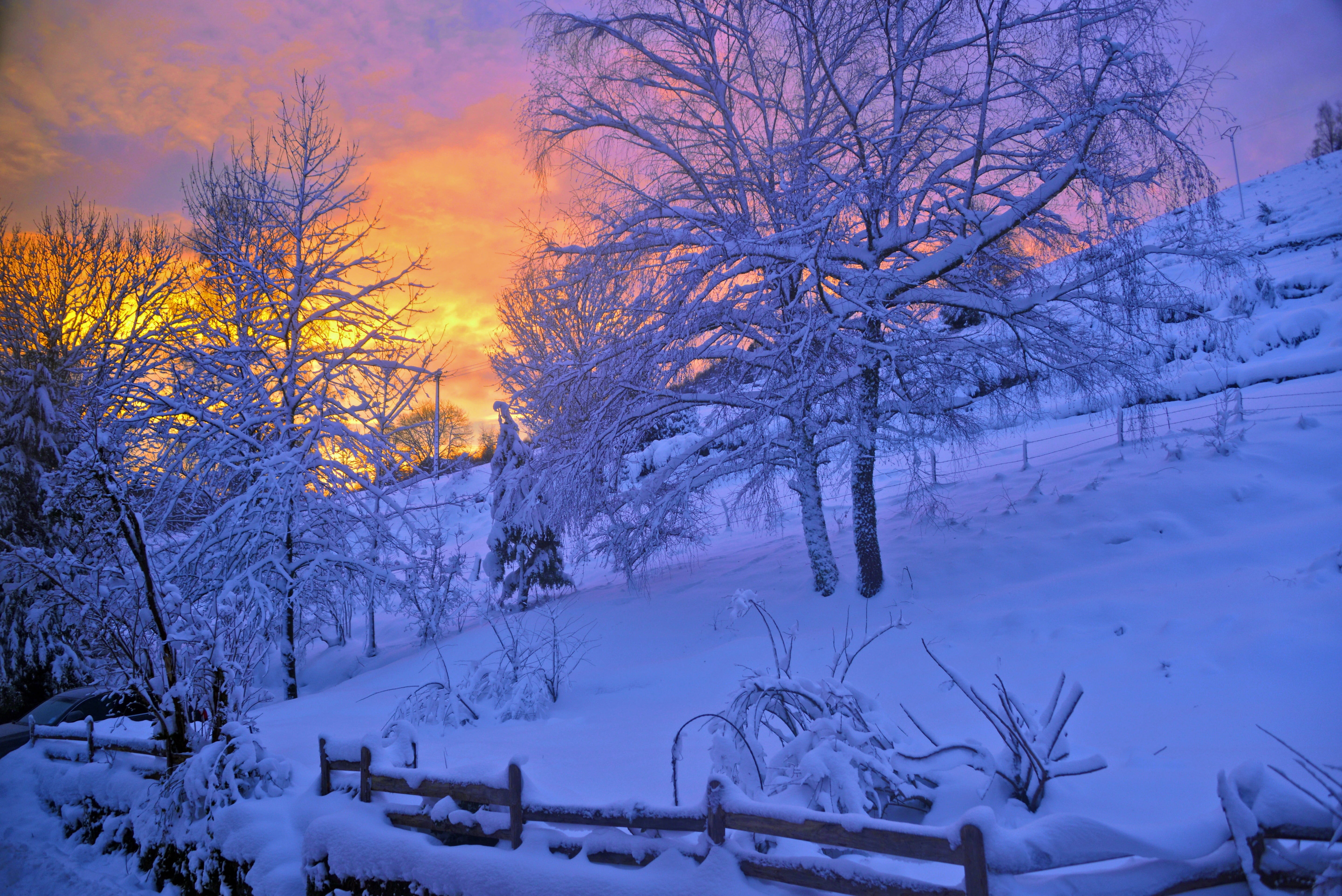 mist, woodland, scenics - nature, vosges, snowy, land, atmosphere, 5K, snow, frozen, tranquility, landscape, alsace, night, sky, contrast, sunrise, beauty in nature, HD Wallpaper
