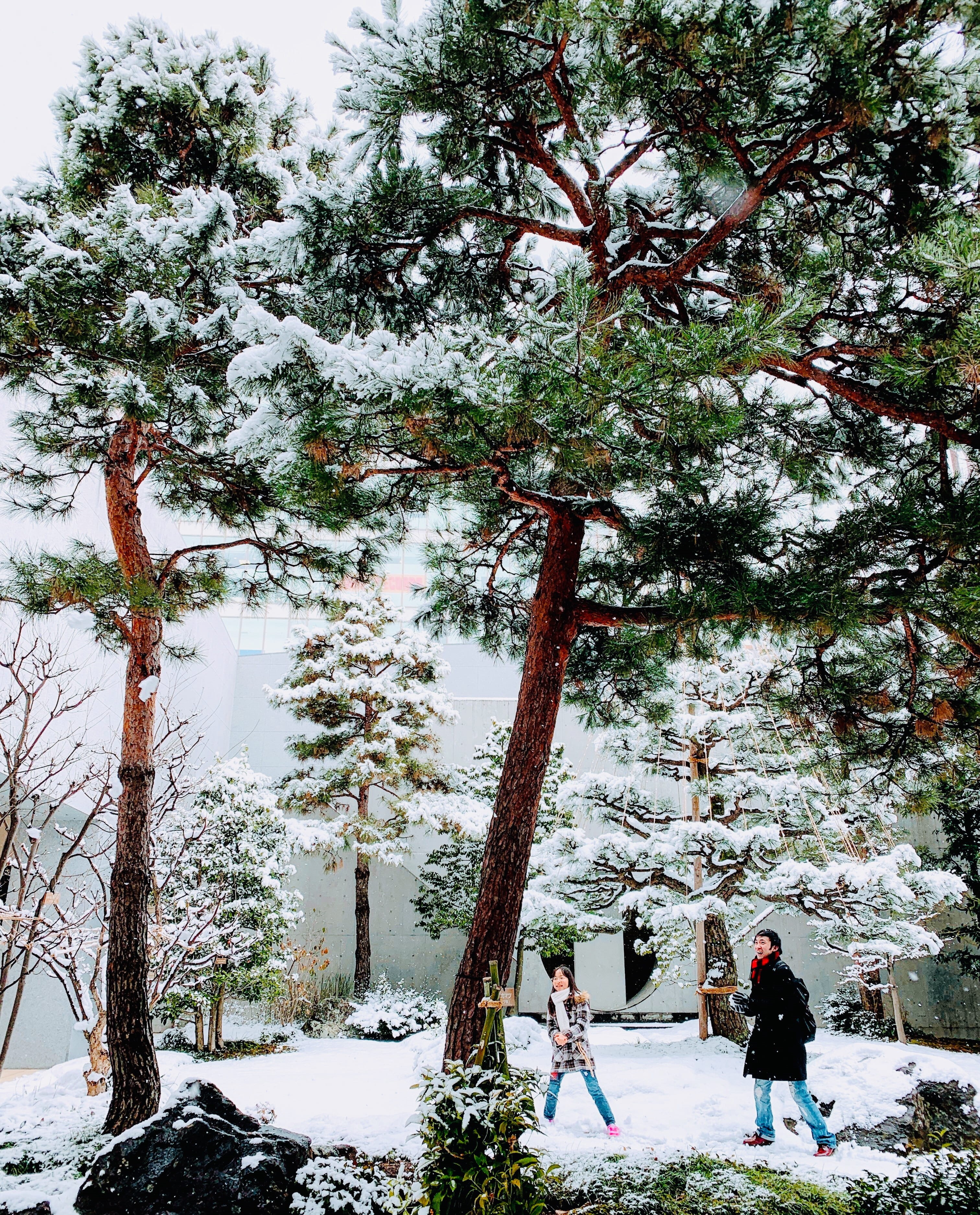 adult, station, women, growth, snow, day, men, real people, cross, pine, lifestyles, tree, abies, two people, symbol, kanazawaekihigashiguchi kanazawa forras bus stop, Phone HD Wallpaper