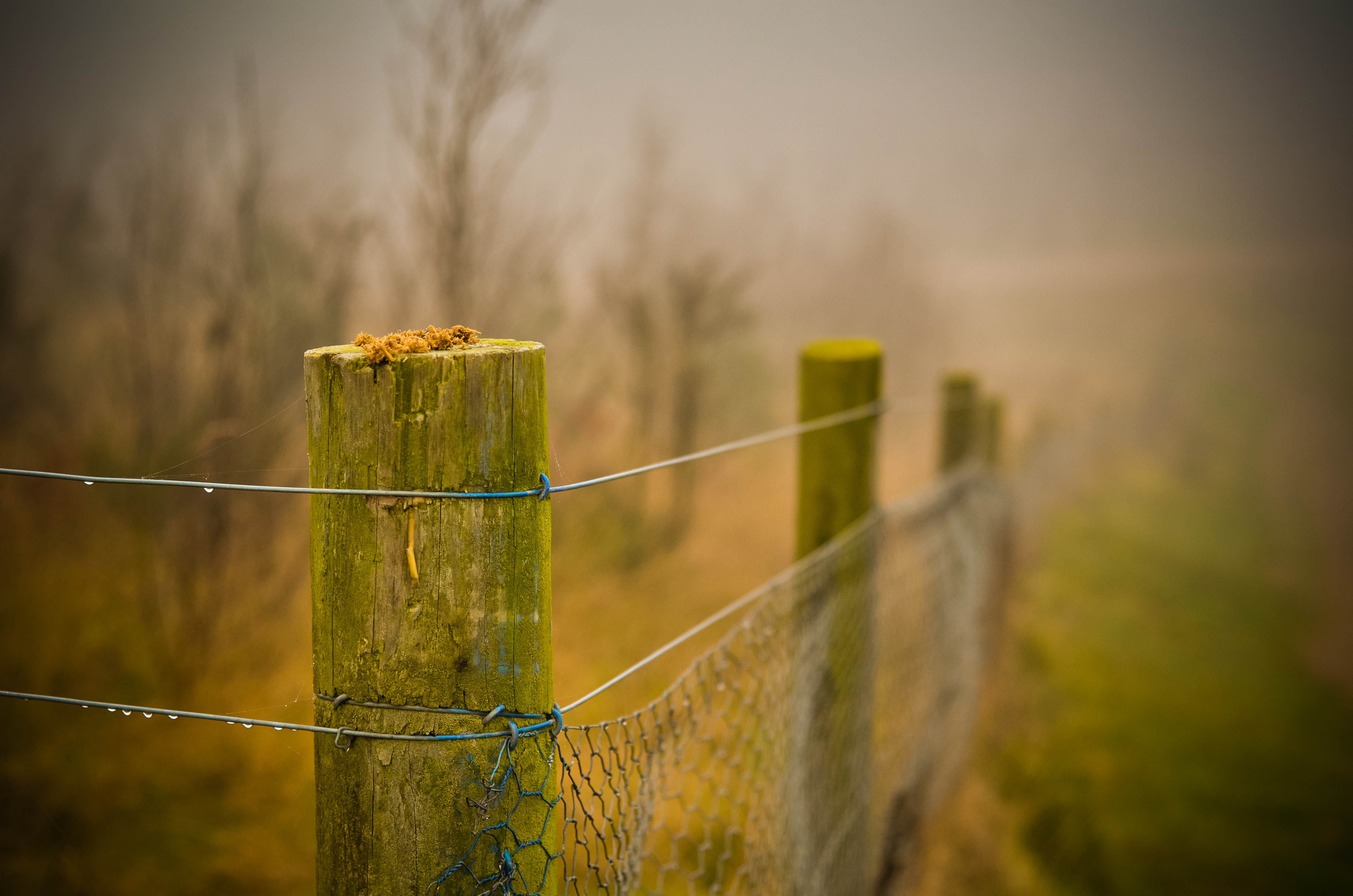 united kingdom, no people, boundary, dinnington, fence, nature, metal, field, damp, wet, barrier, wood - material, wooden post, focus on foreground, security, HD Wallpaper