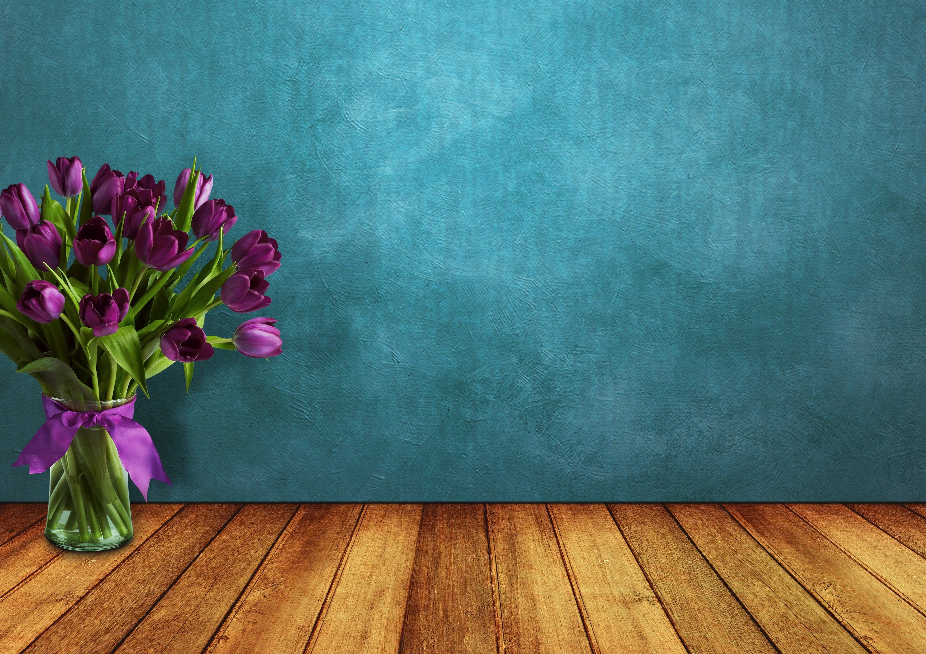 background, empty, blank, close-up, greeting card, wood, freshness, congratulate, plant, flower arrangement, space, clear, love, emotion, blue, flower, HD Wallpaper