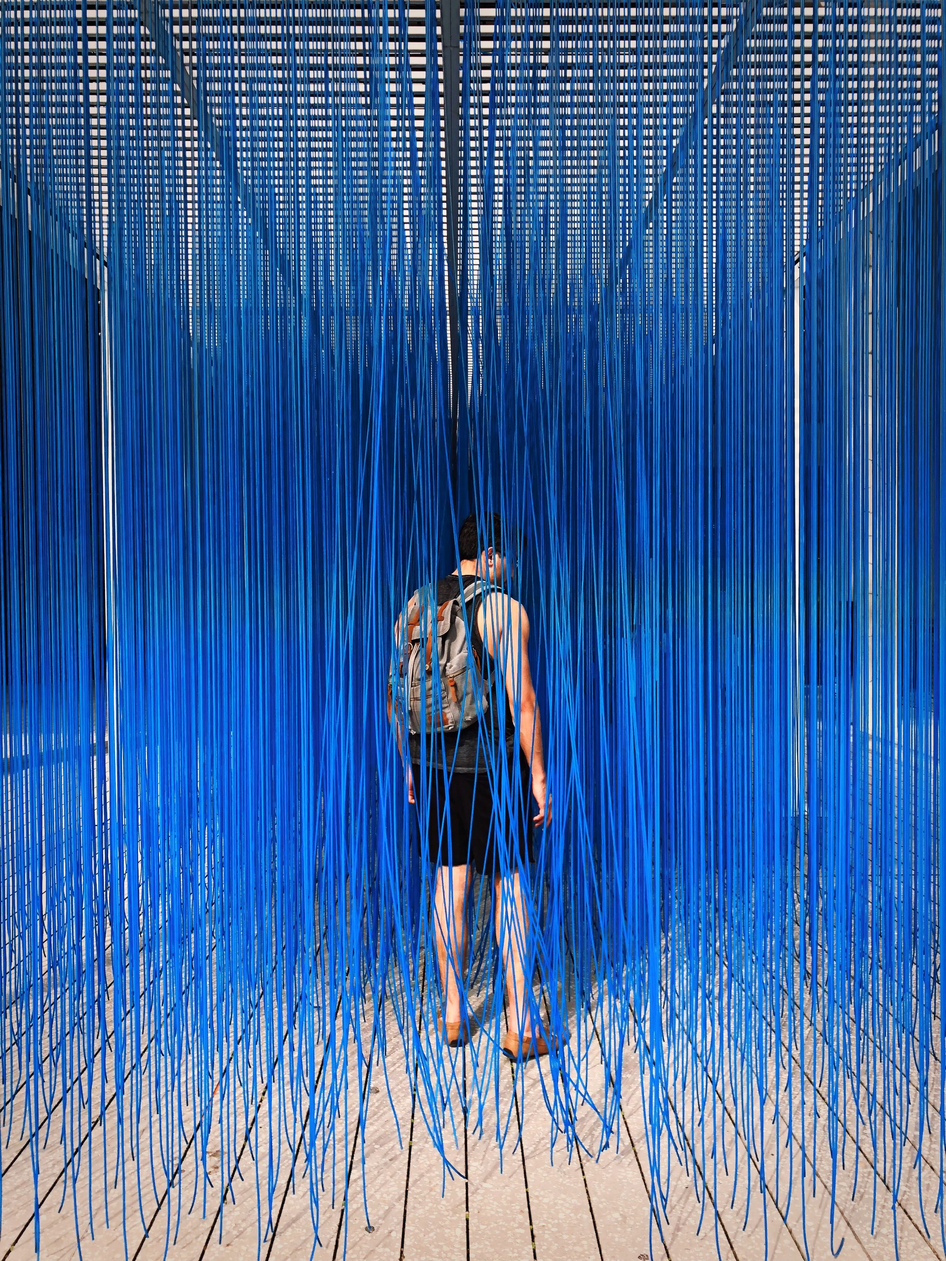 color, man, person, america, day, full length, 1103 biscayne blvd, florida, plant, blue, transportation, usa, united states, cool, museum, 4K, trees, skill, Phone HD Wallpaper