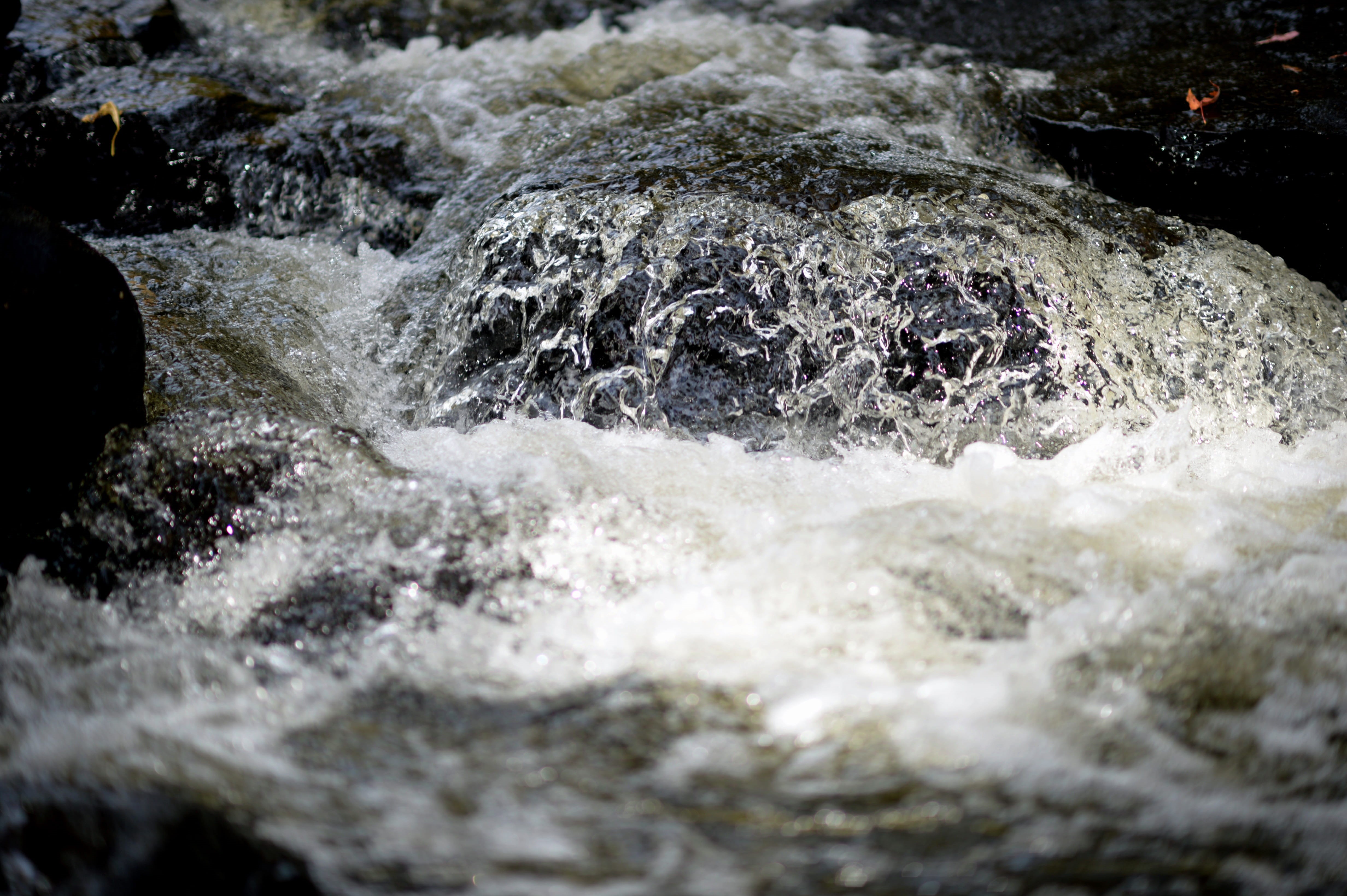 flowing, inspiration, splash, landscape, bubbles, environment, wilderness, outdoors, white water, day, motion, aquatic sport, 4K, close-up, waterfront, HD Wallpaper